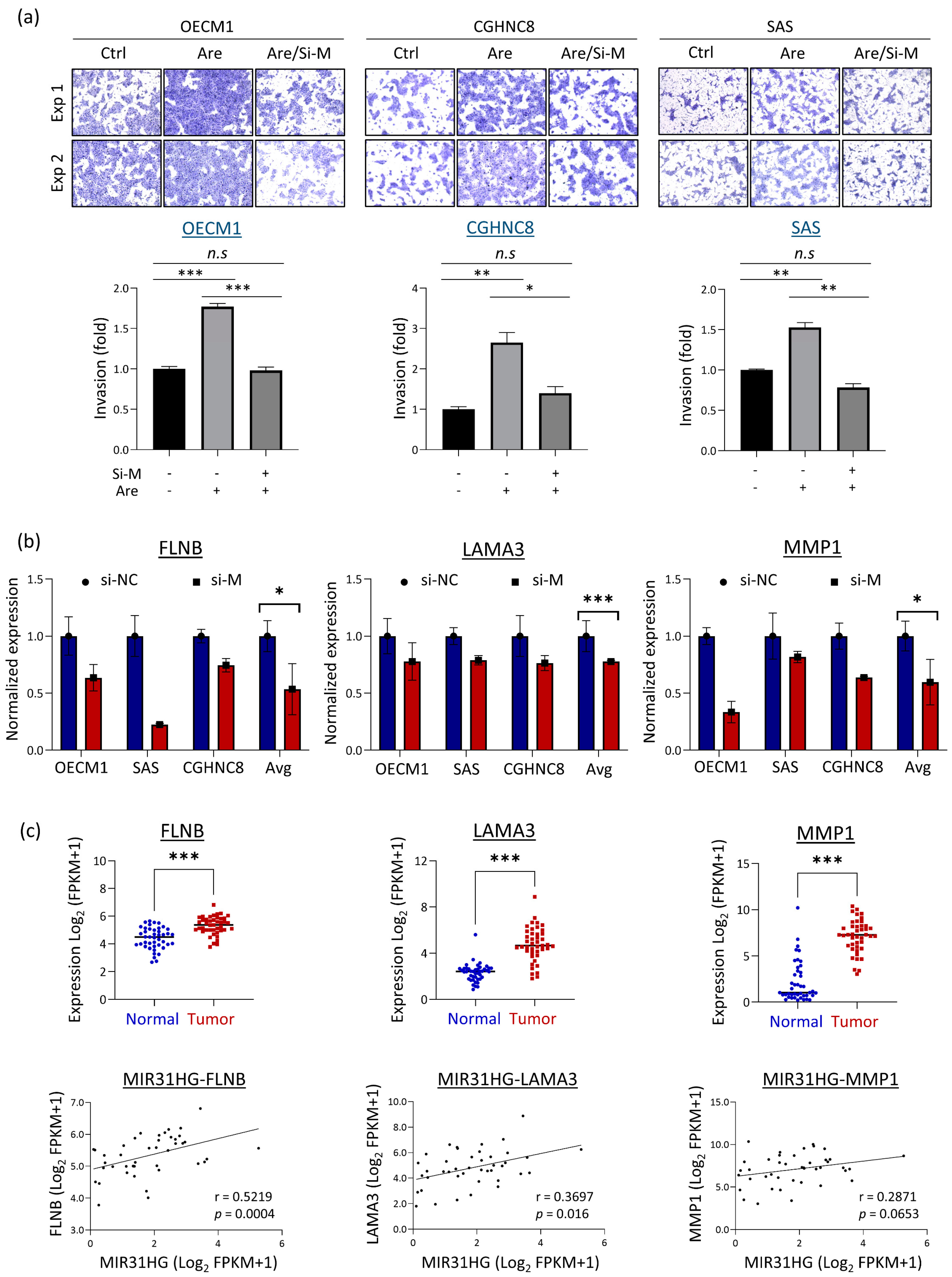 Cells 12 00873 g006 Cells 12 00873 g006