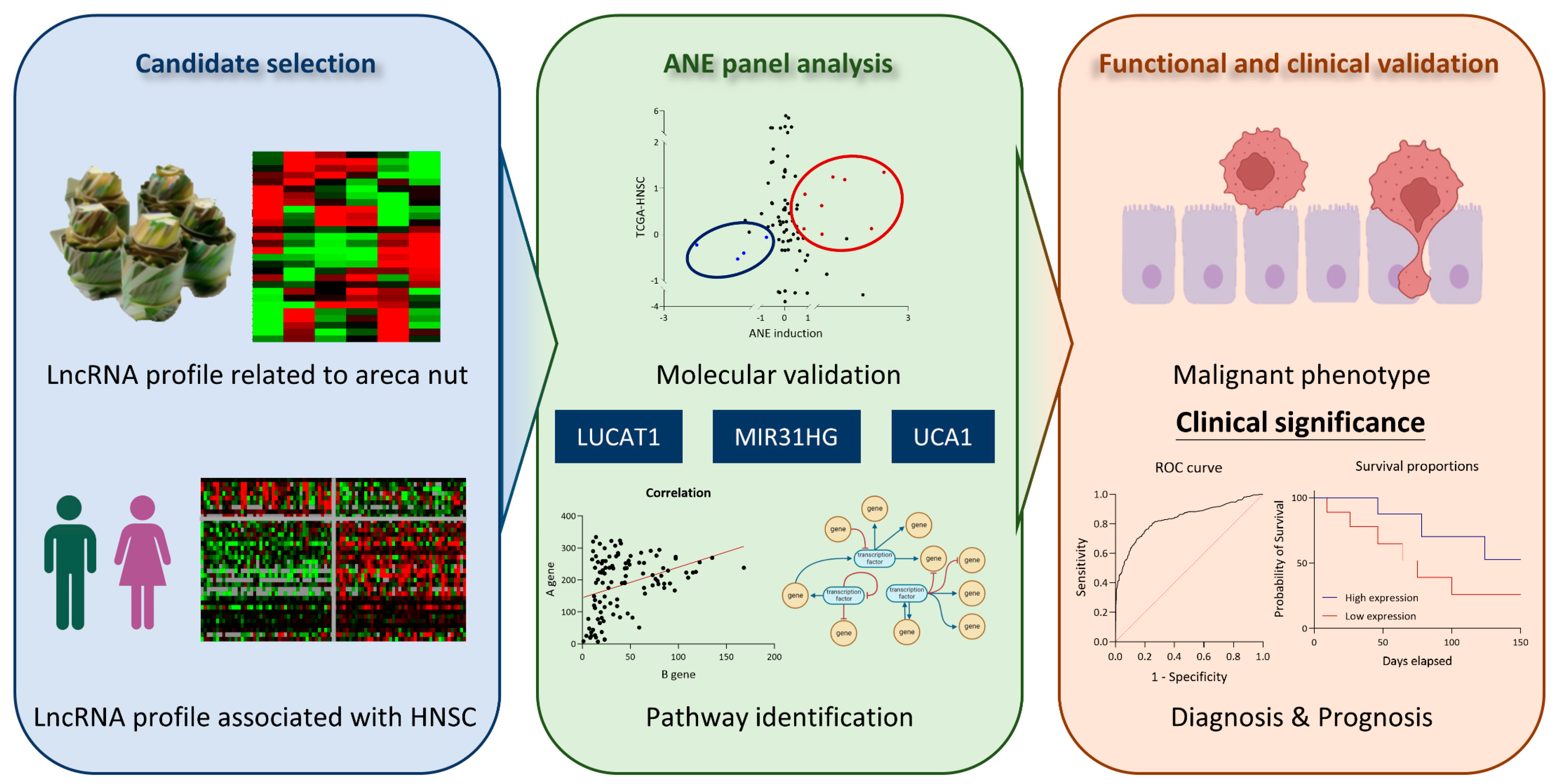 Cells 12 00873 g007 Cells 12 00873 g007