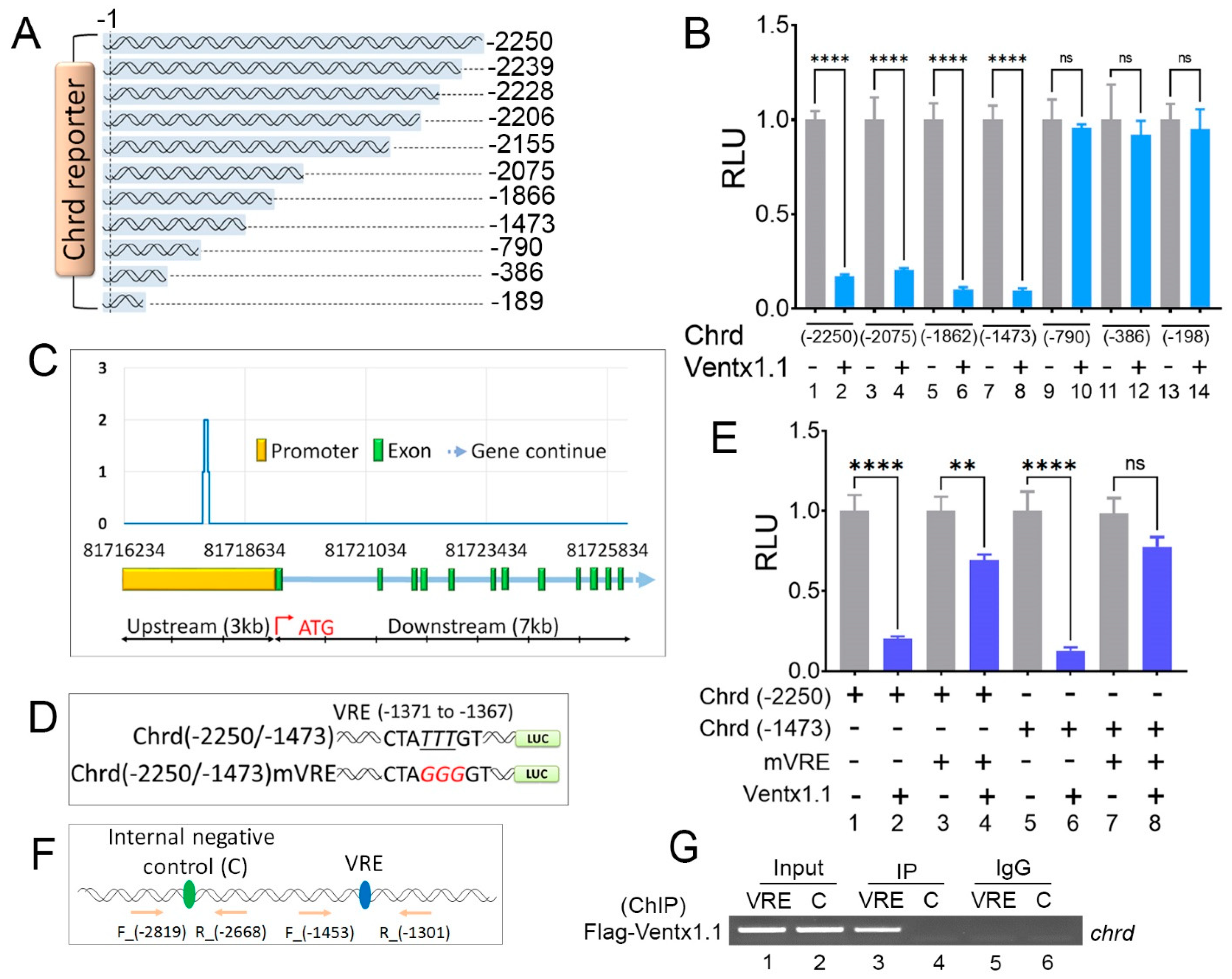 Cells 12 00874 g003 Cells 12 00874 g003