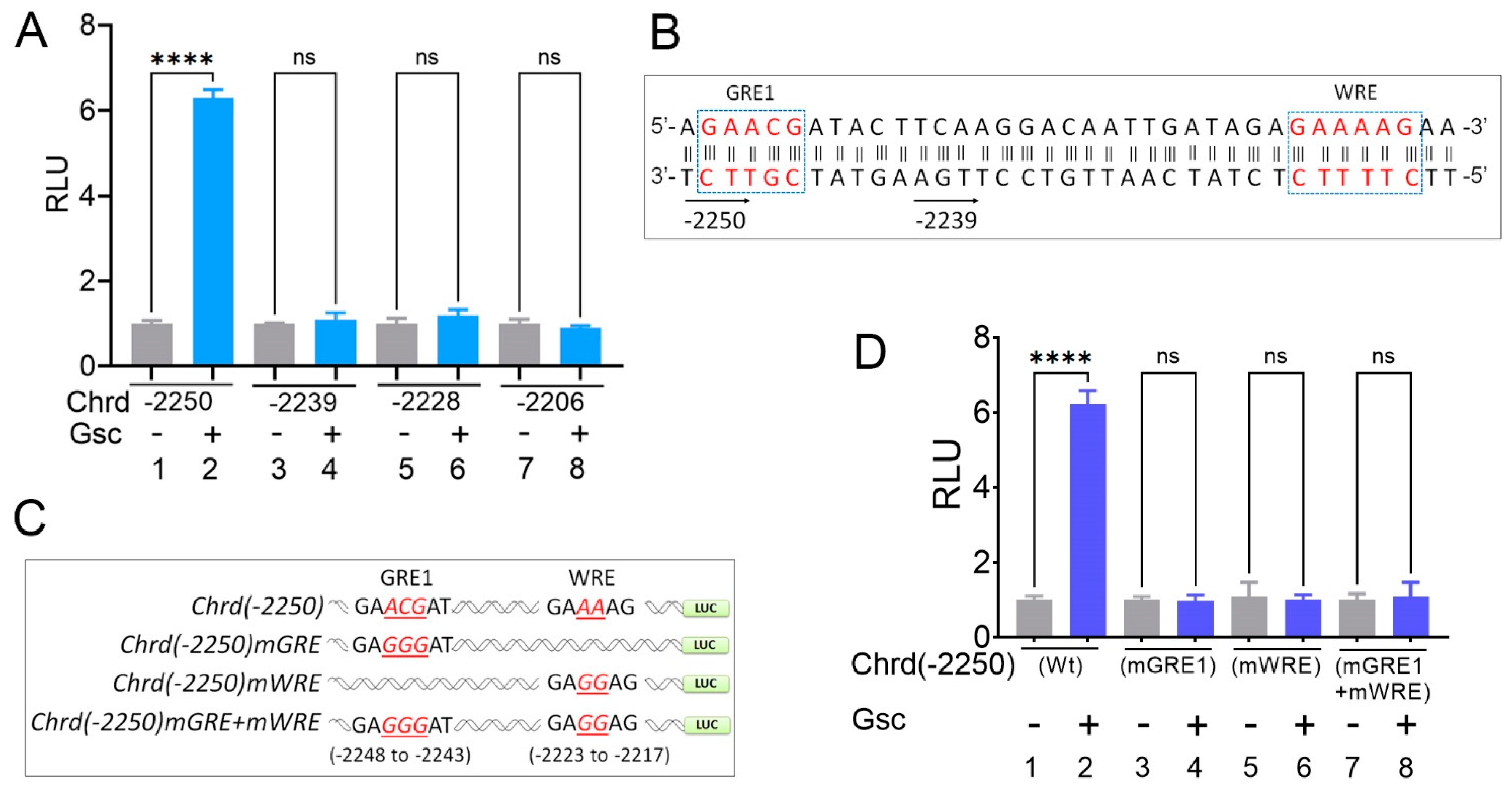 Cells 12 00874 g004 Cells 12 00874 g004