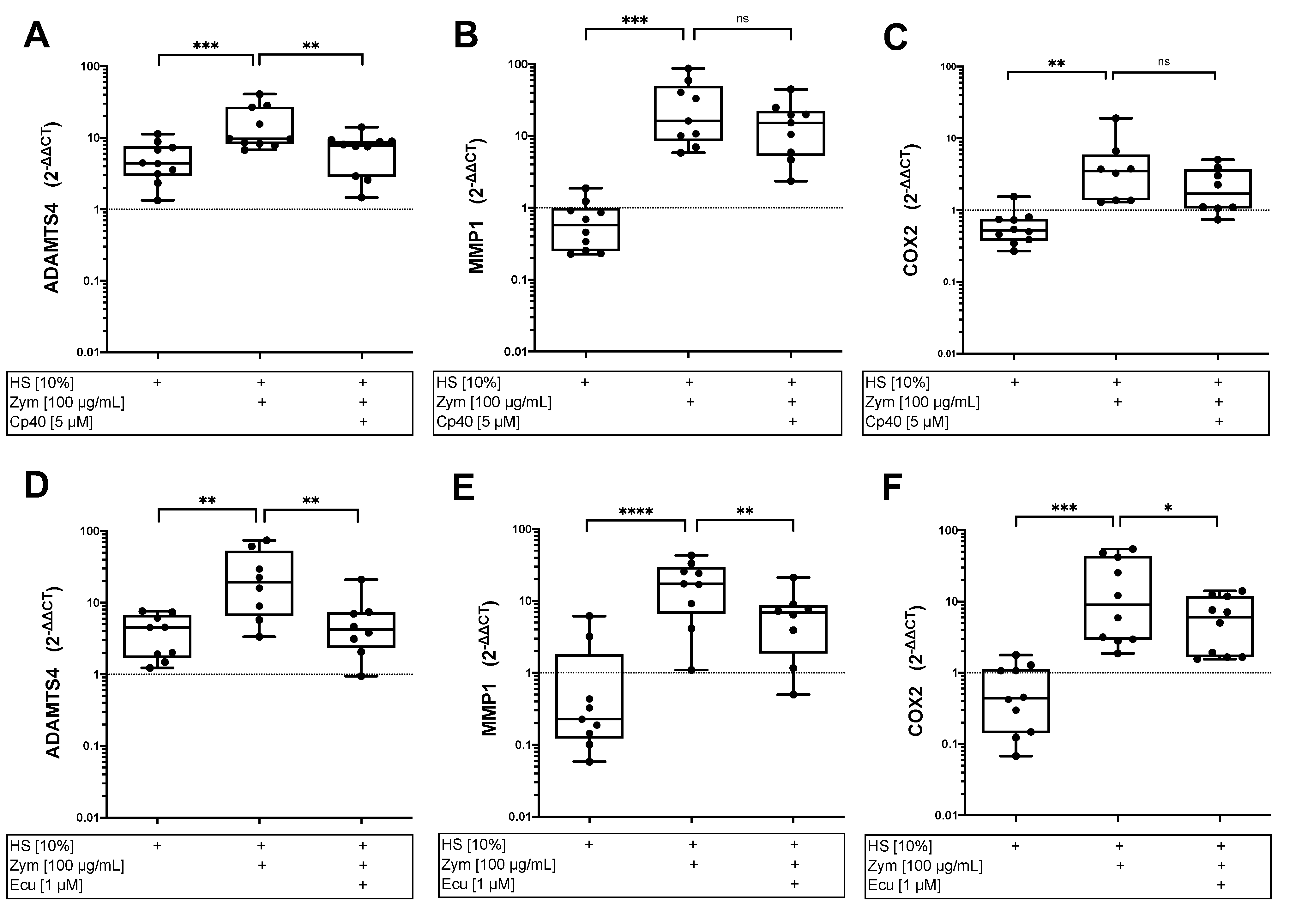 Cells 12 00887 g005 Cells 12 00887 g005