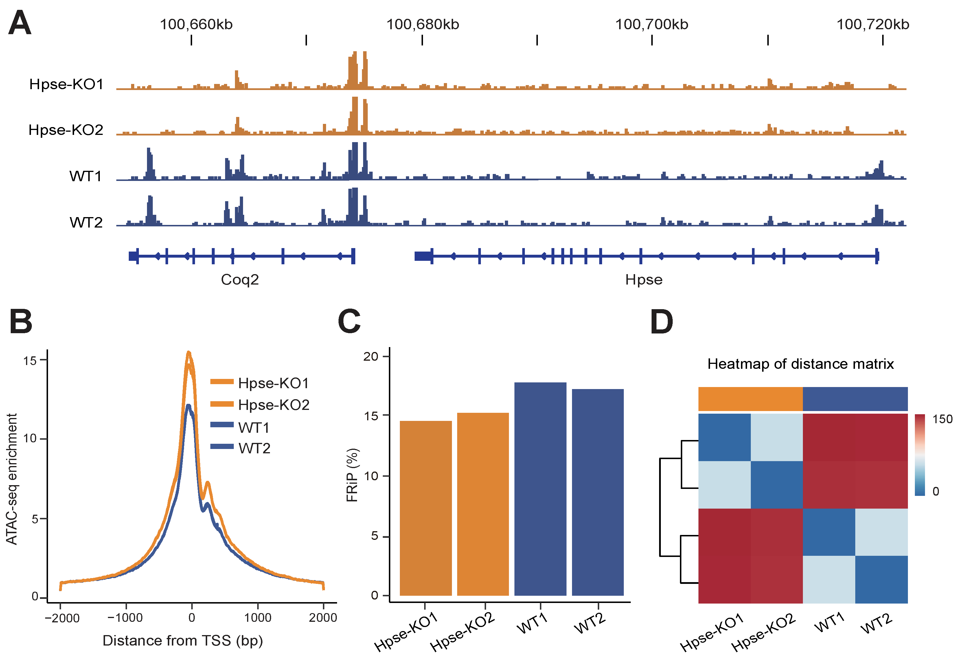 Cells | Free Full-Text | Heparanase Modulates Chromatin Accessibility