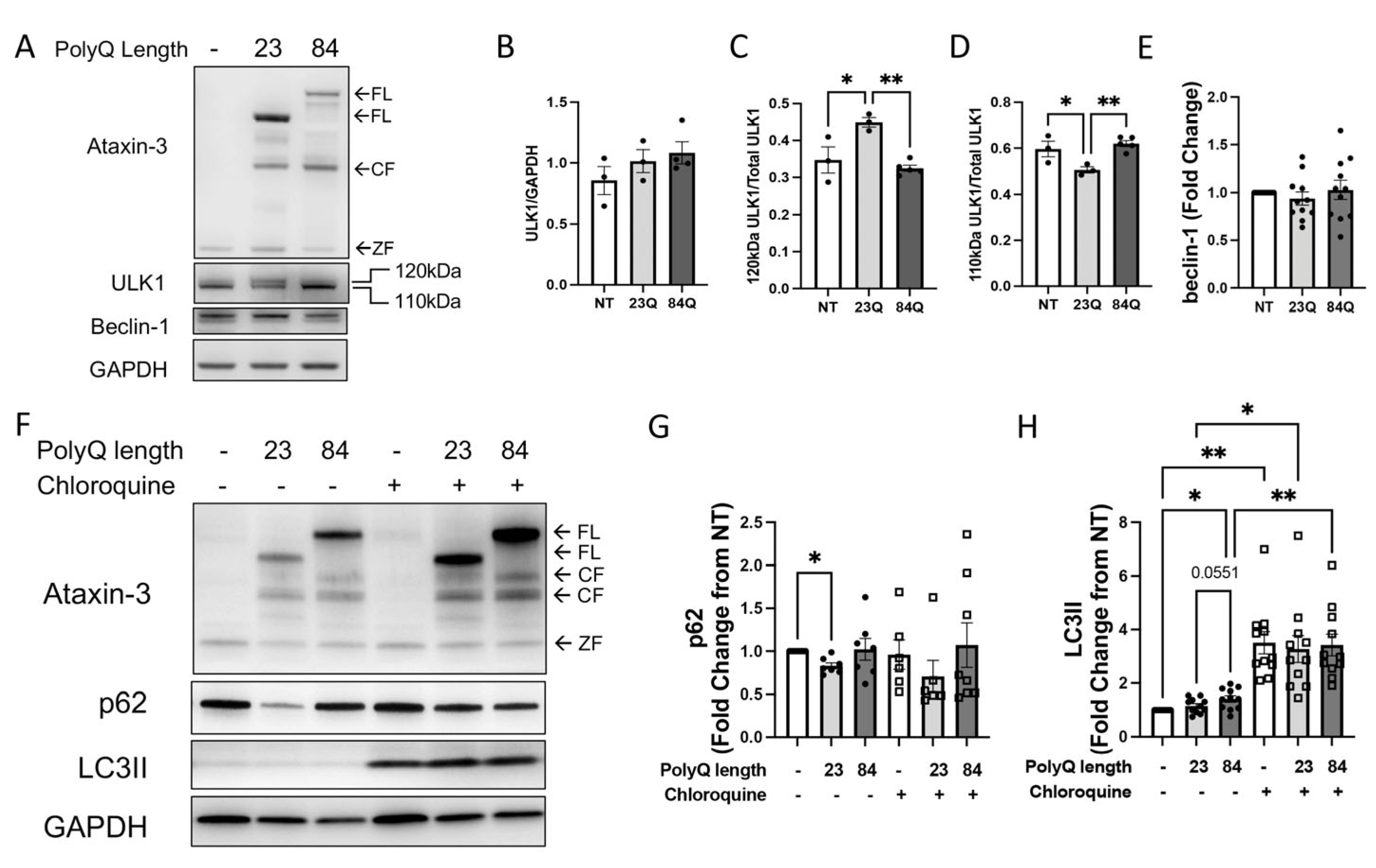 Cells 12 00893 g002 Cells 12 00893 g002