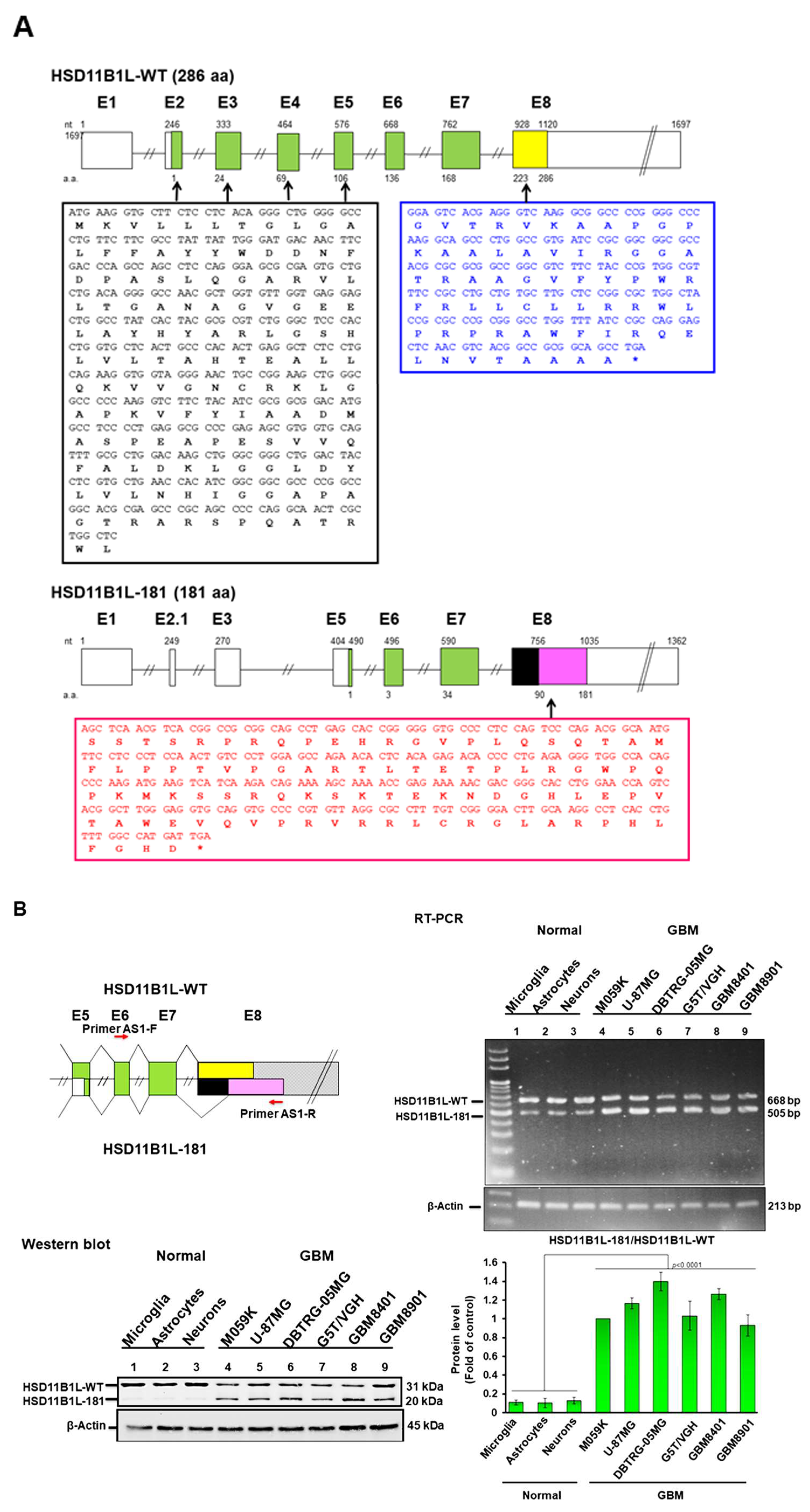 Cells 12 00894 g001a Cells 12 00894 g001a