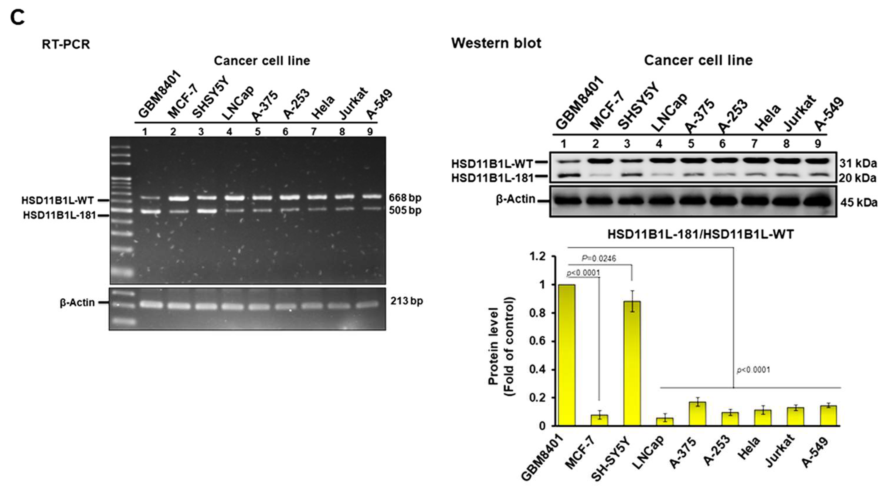 Cells 12 00894 g001b Cells 12 00894 g001b