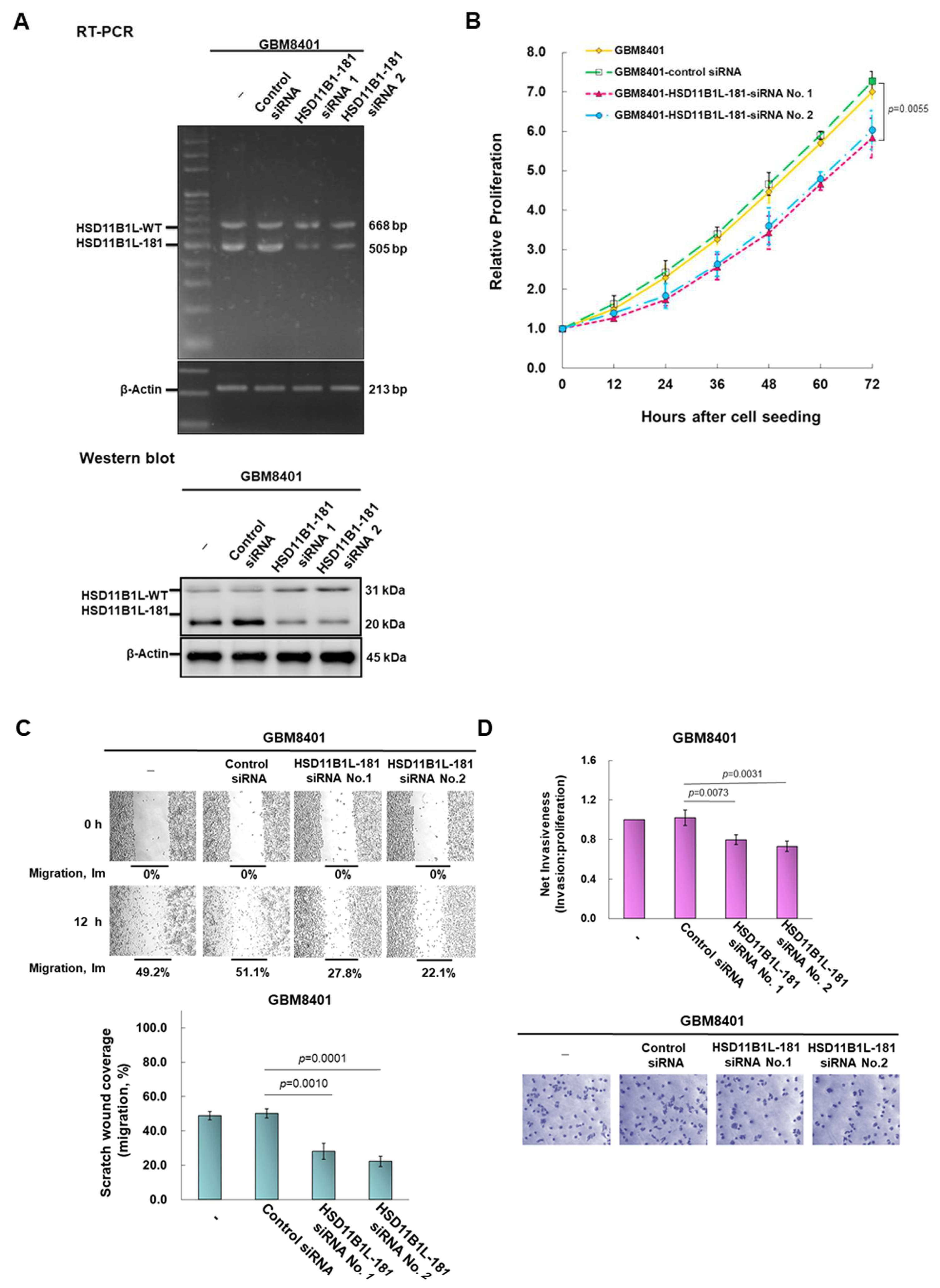 Cells 12 00894 g003 Cells 12 00894 g003
