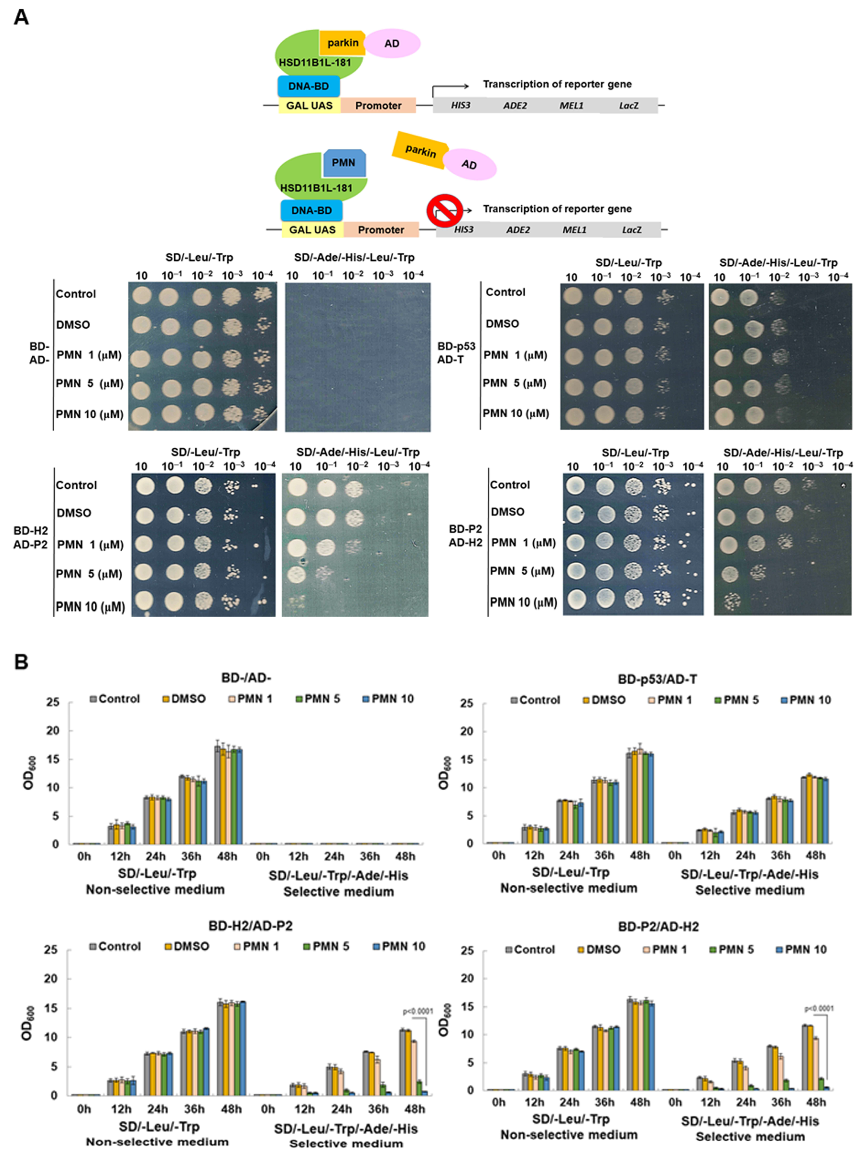 Cells 12 00894 g007 Cells 12 00894 g007