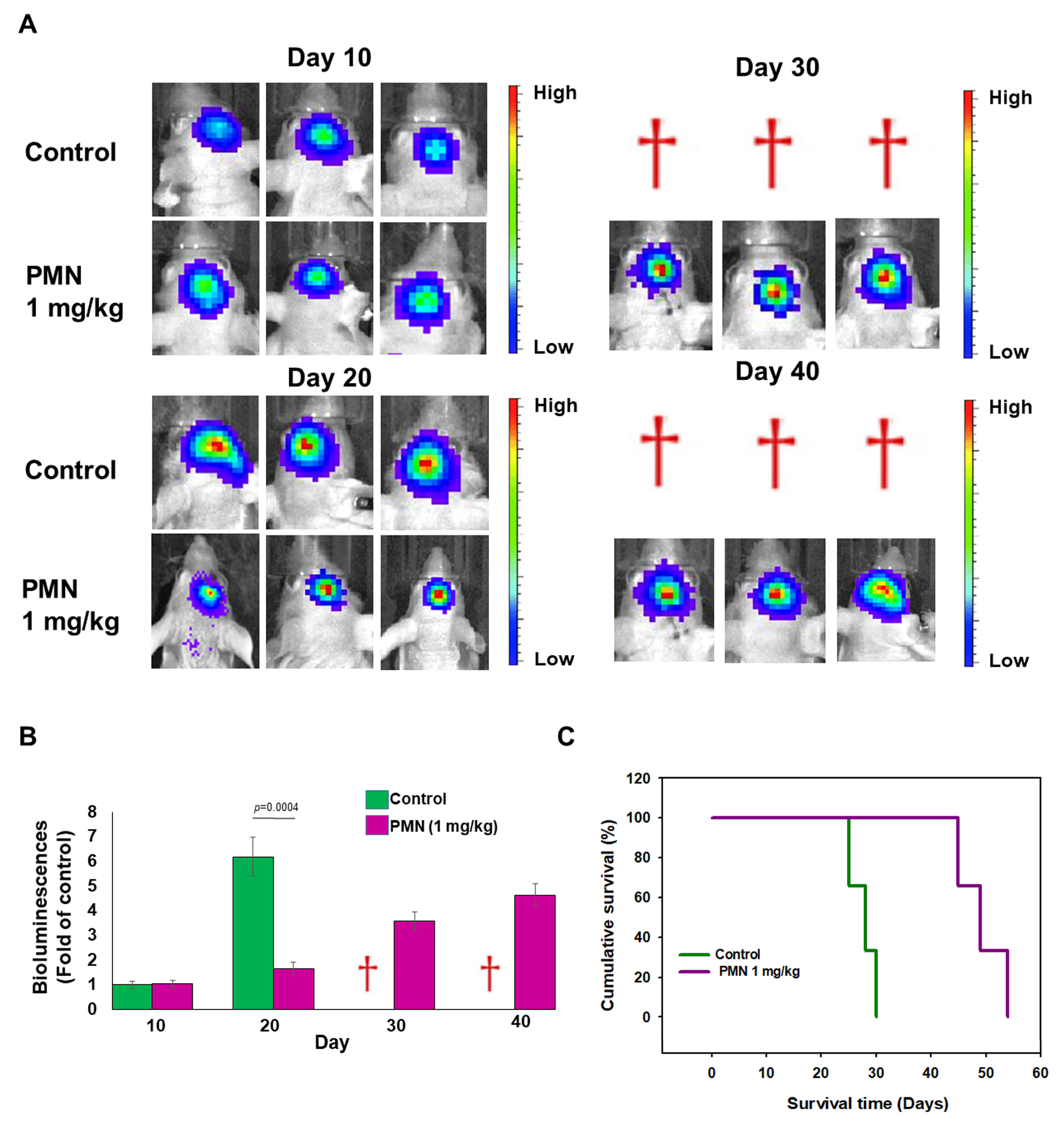 Cells 12 00894 g010 Cells 12 00894 g010