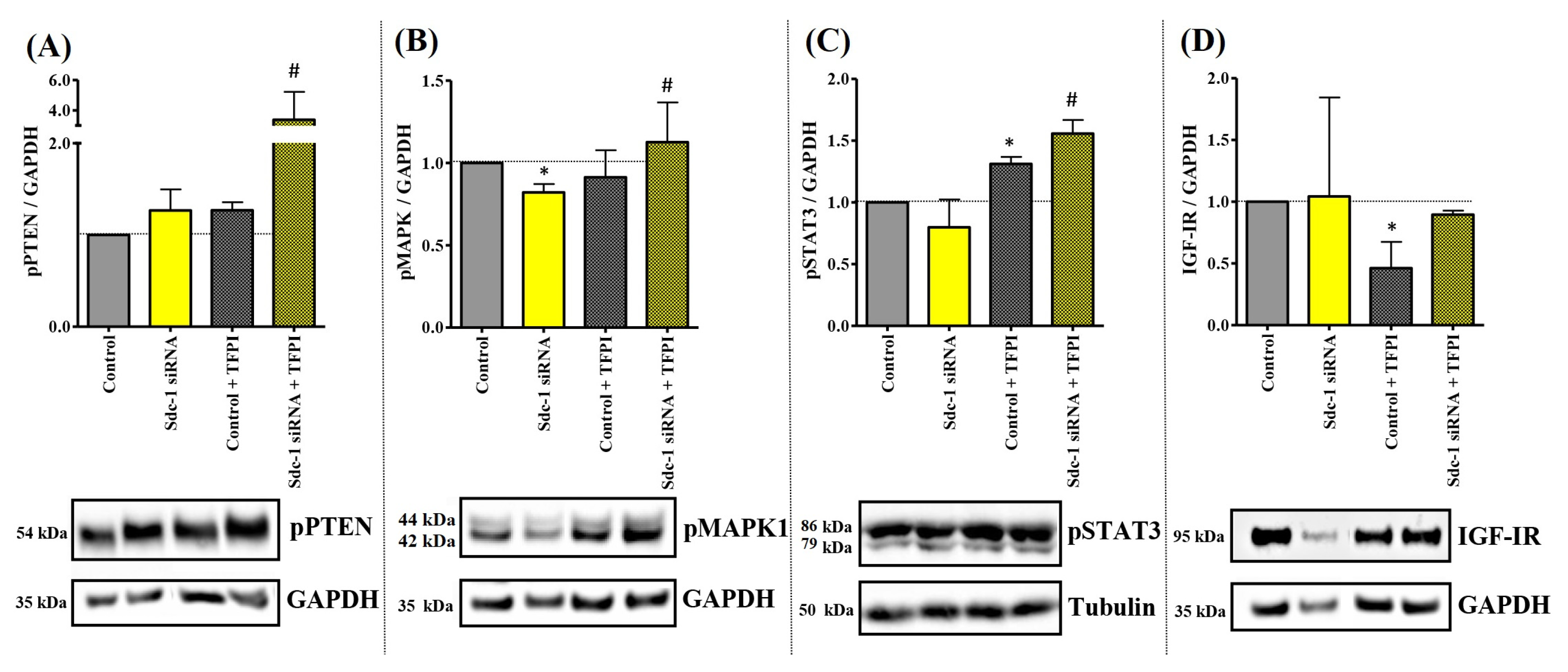 Cells 12 00910 g002 Cells 12 00910 g002