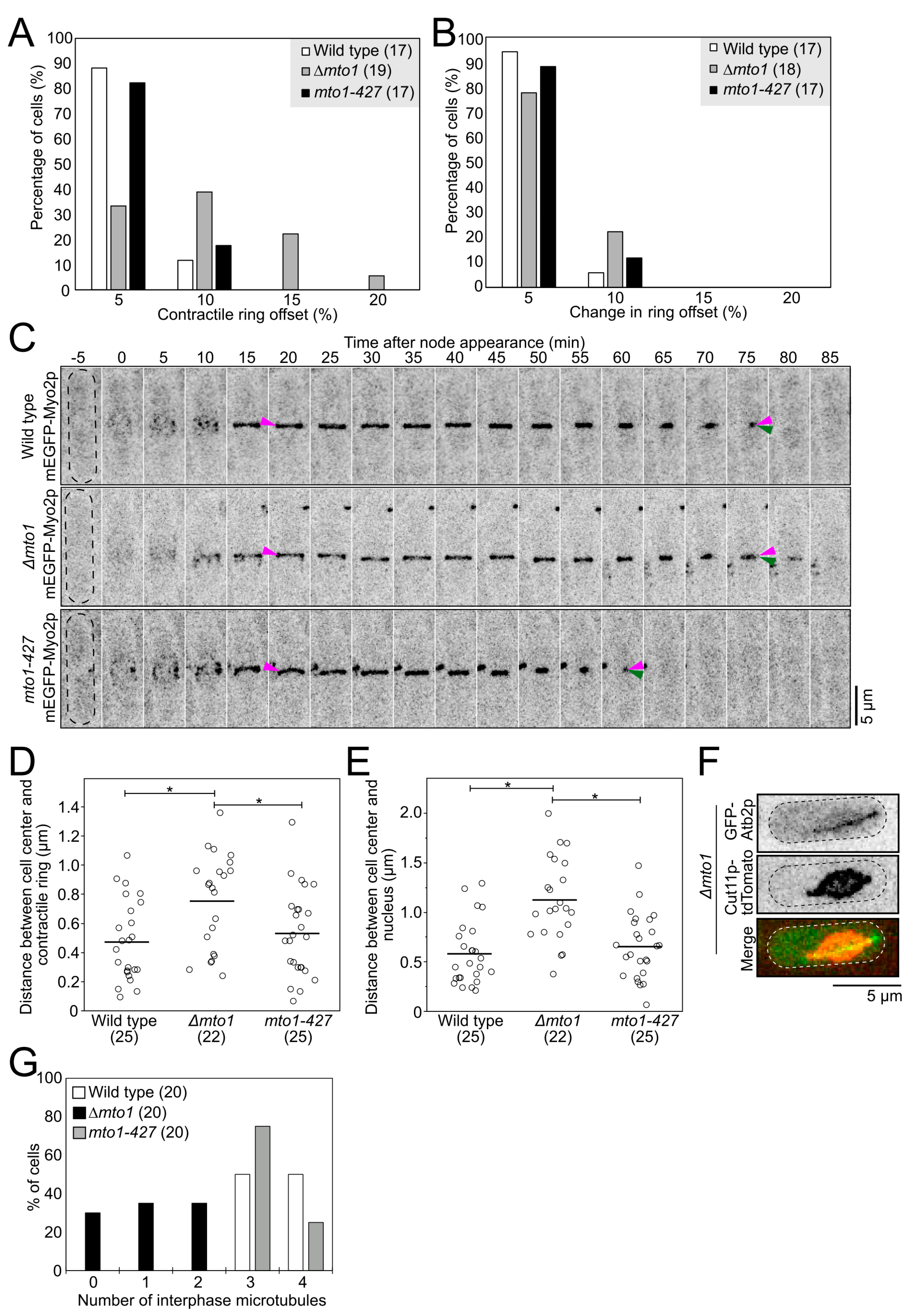 Cells 12 00917 g005 Cells 12 00917 g005
