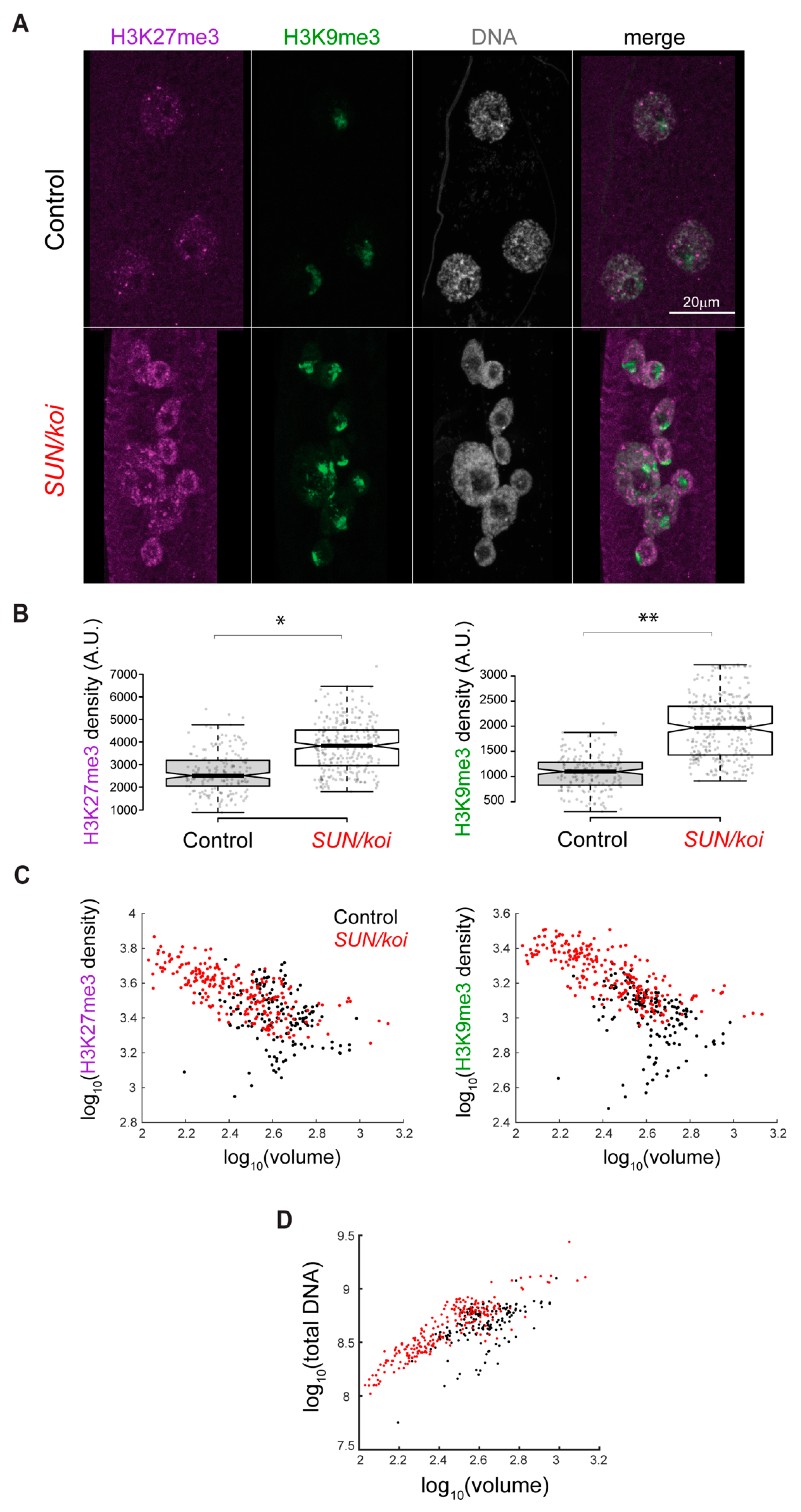 Cells 12 00932 g003 Cells 12 00932 g003