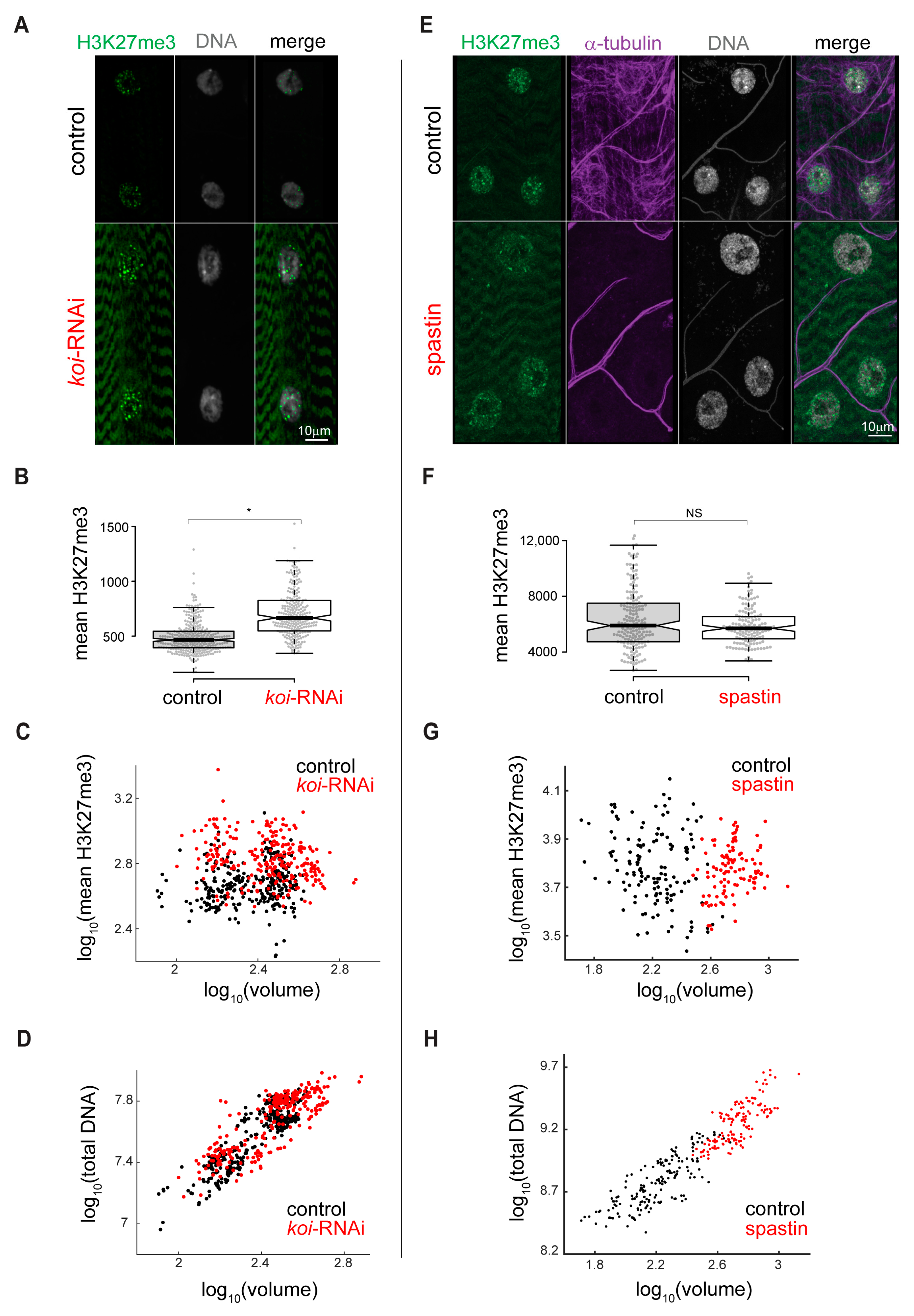 Cells 12 00932 g004 Cells 12 00932 g004