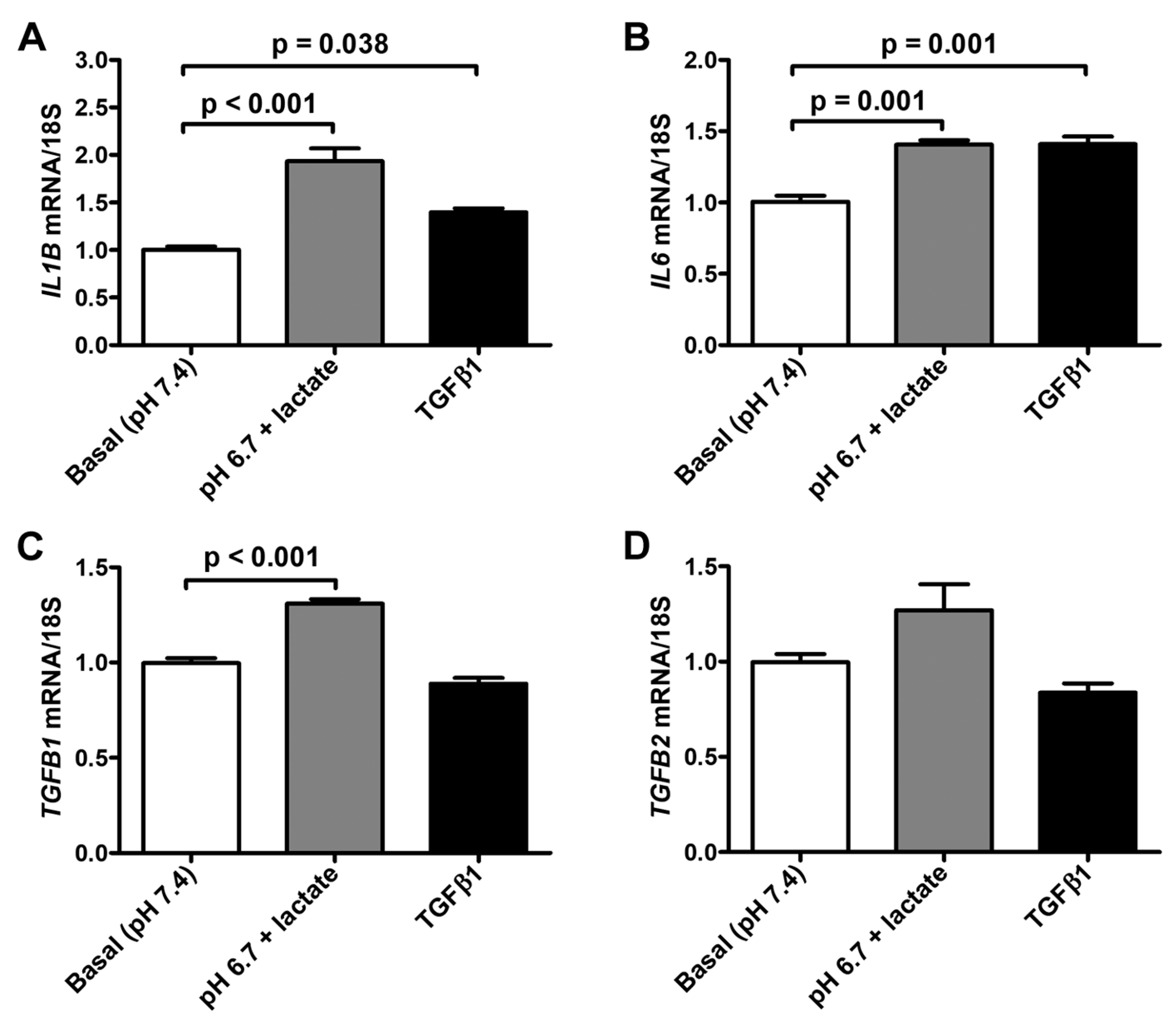 Cells 12 00939 g006 Cells 12 00939 g006