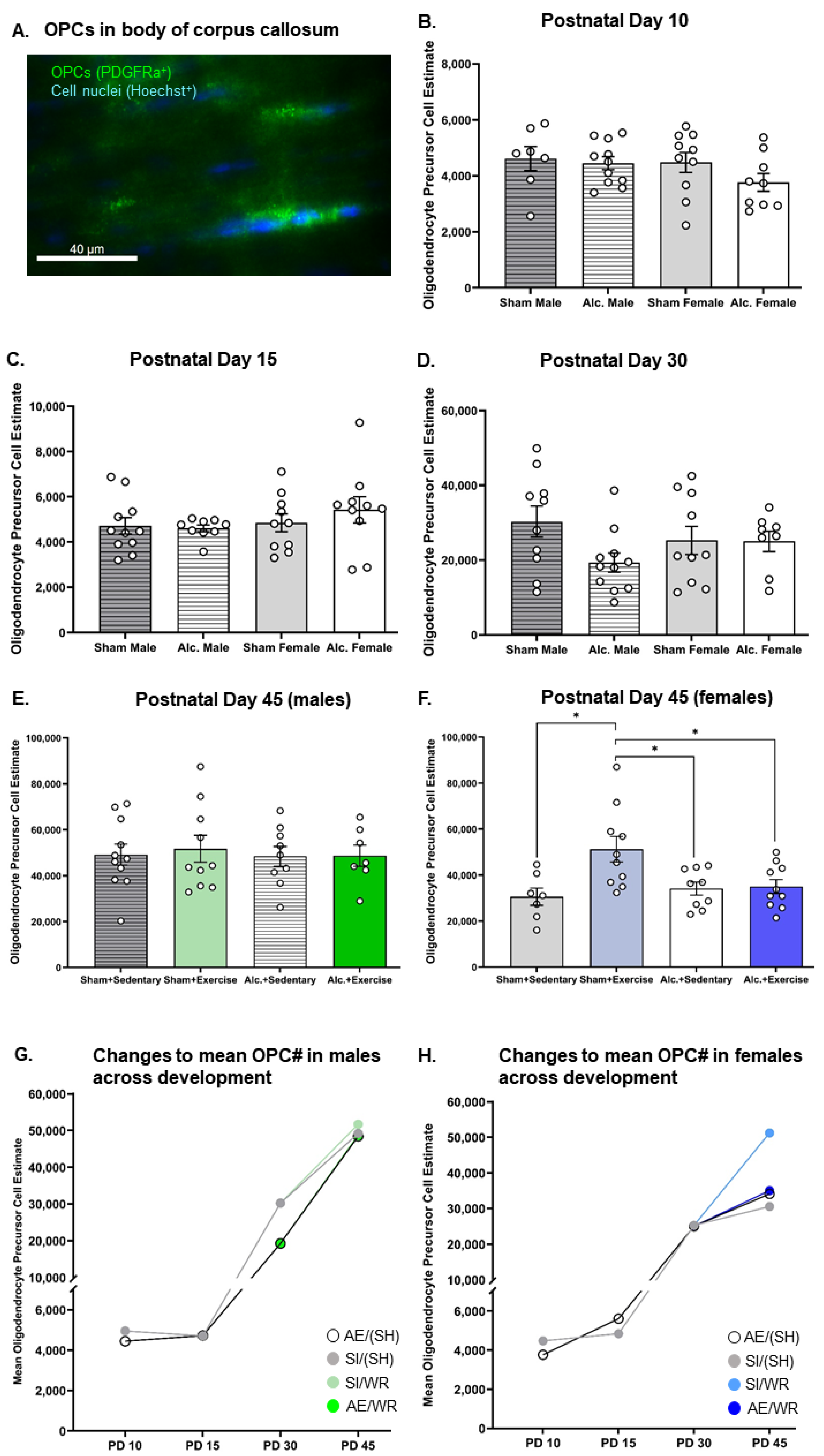 Cells 12 00975 g003 Cells 12 00975 g003