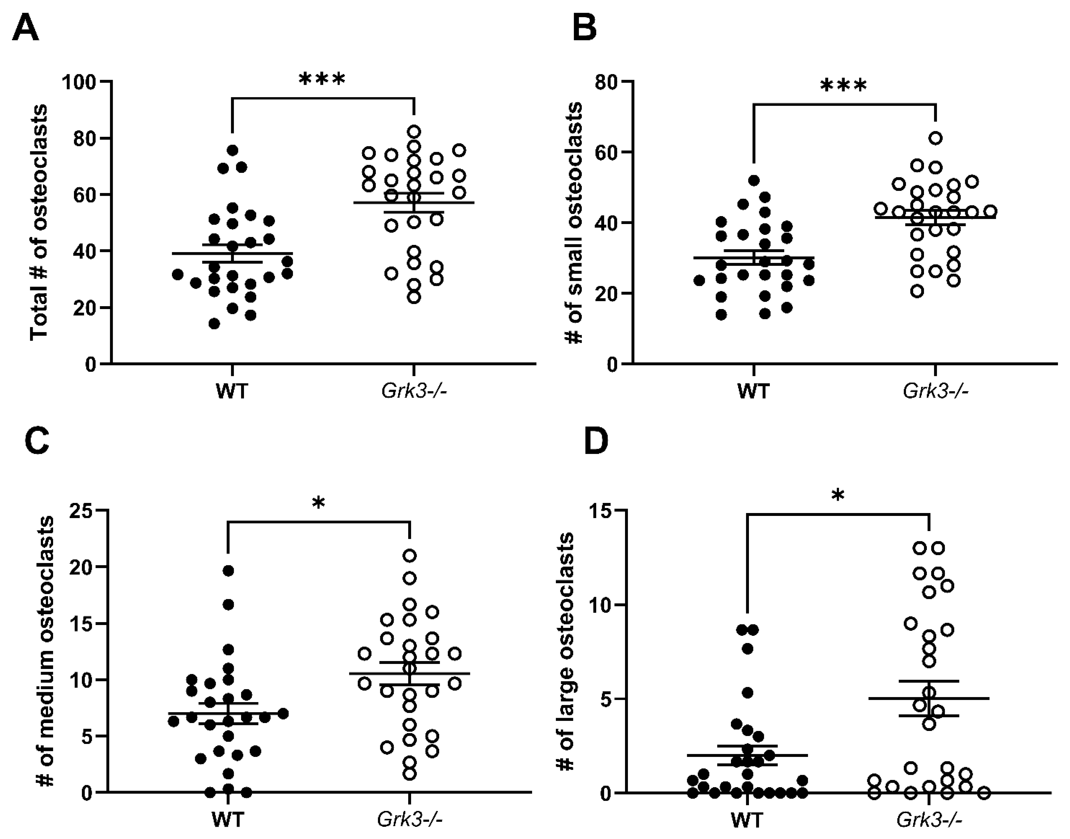 Cells 12 00981 g007 Cells 12 00981 g007