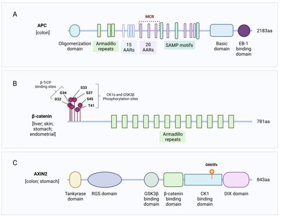 Bcl9 and Pygo synergise downstream of Apc to effect intestinal neoplasia in  FAP mouse models