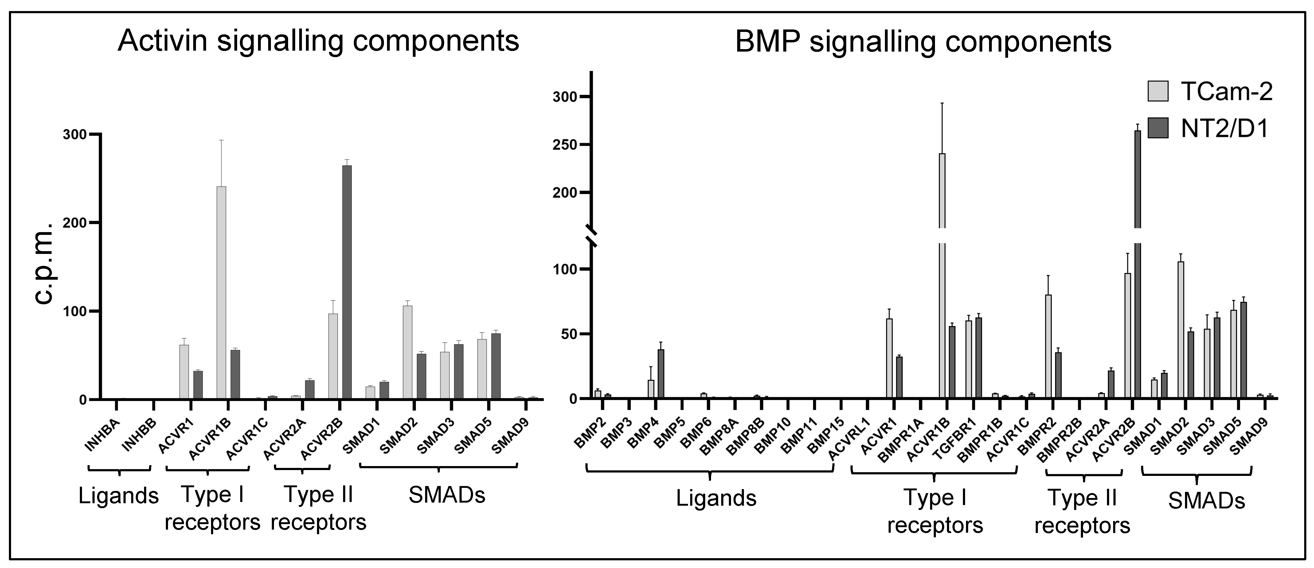 Cells 12 01000 g001 Cells 12 01000 g001