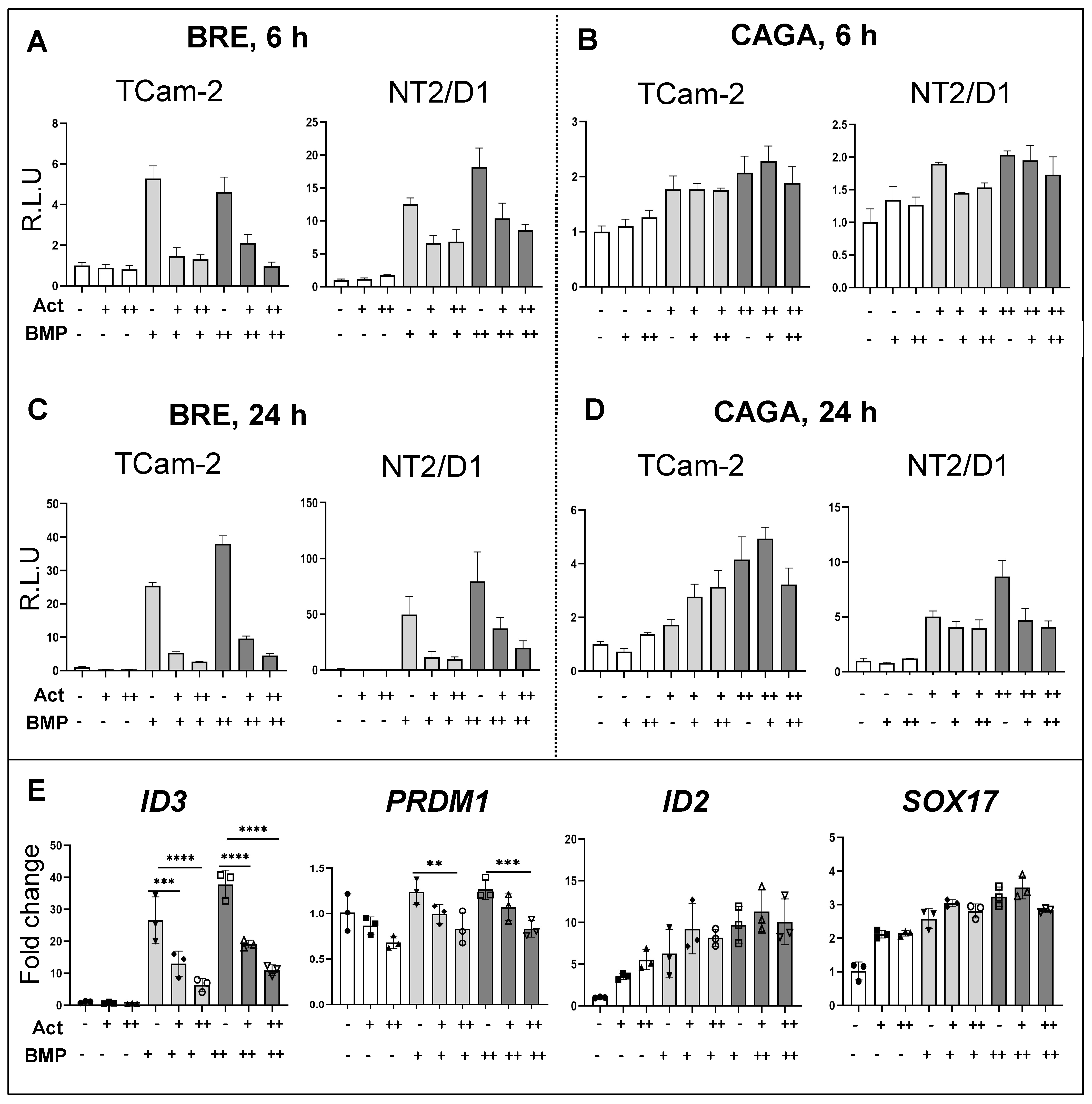 Cells 12 01000 g004 Cells 12 01000 g004