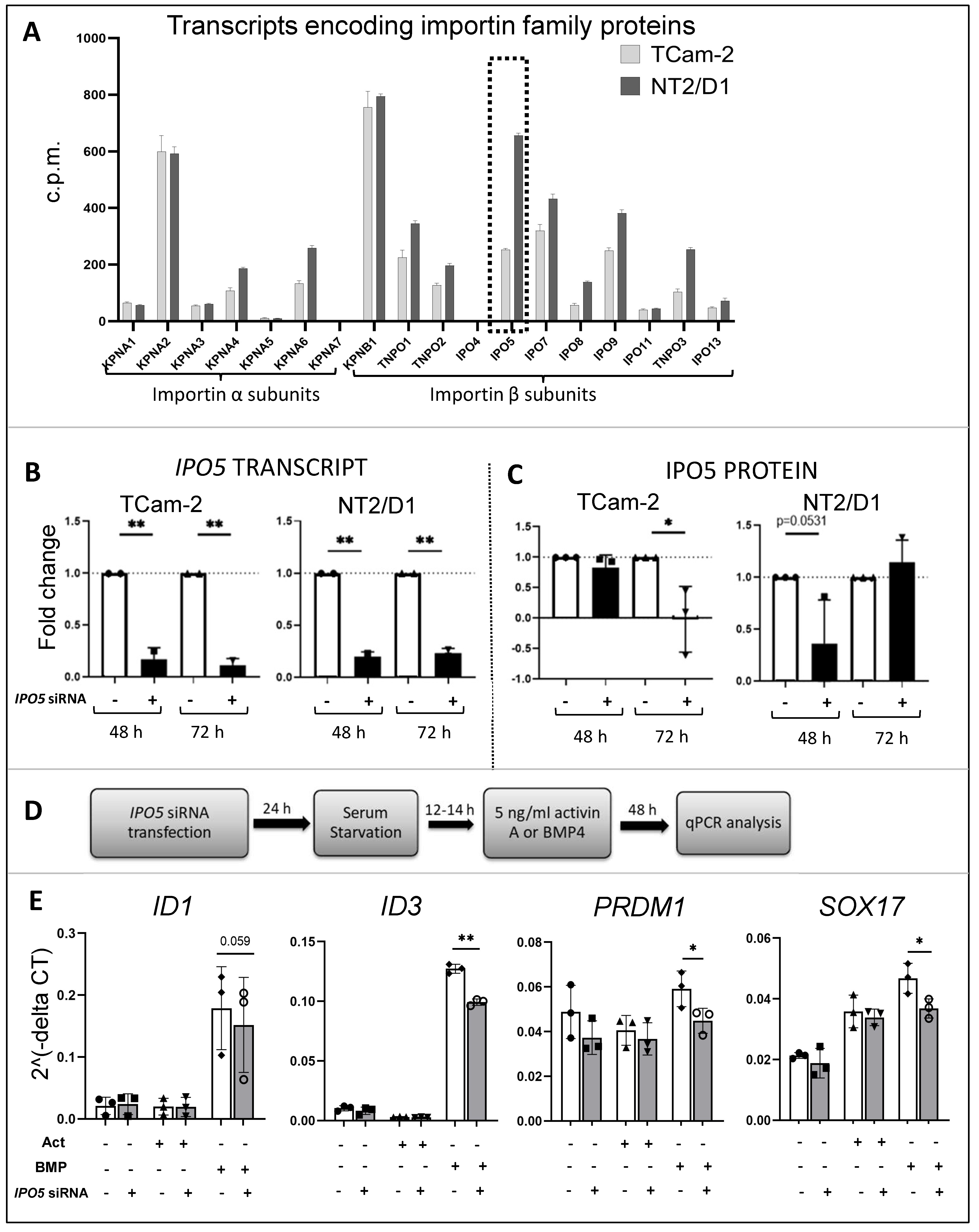 Cells 12 01000 g005 Cells 12 01000 g005