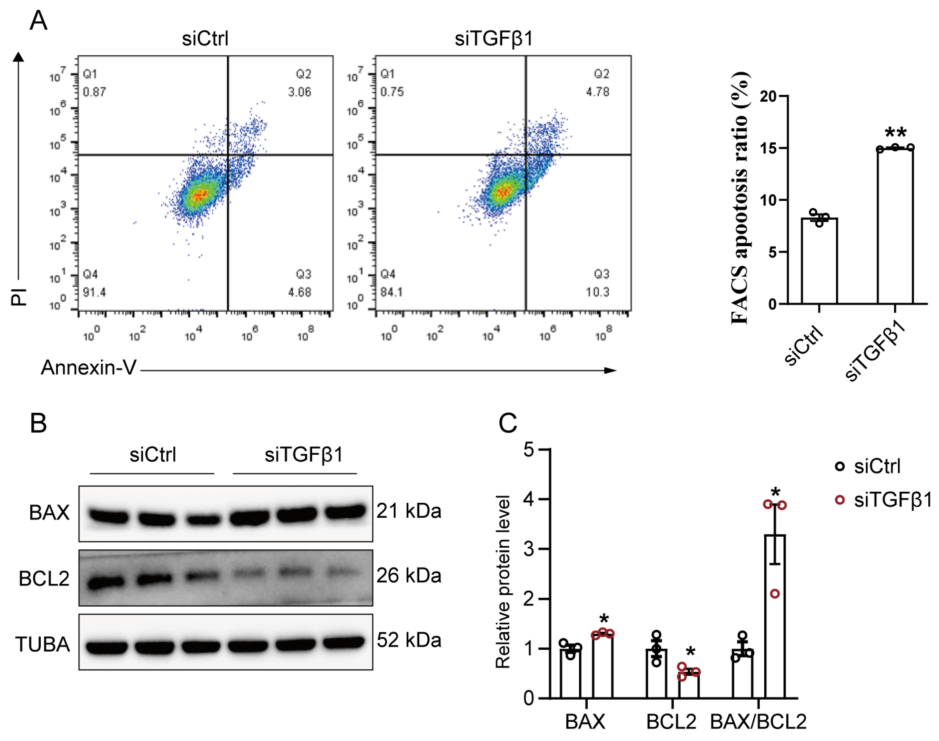 Cells 12 01005 g003 Cells 12 01005 g003