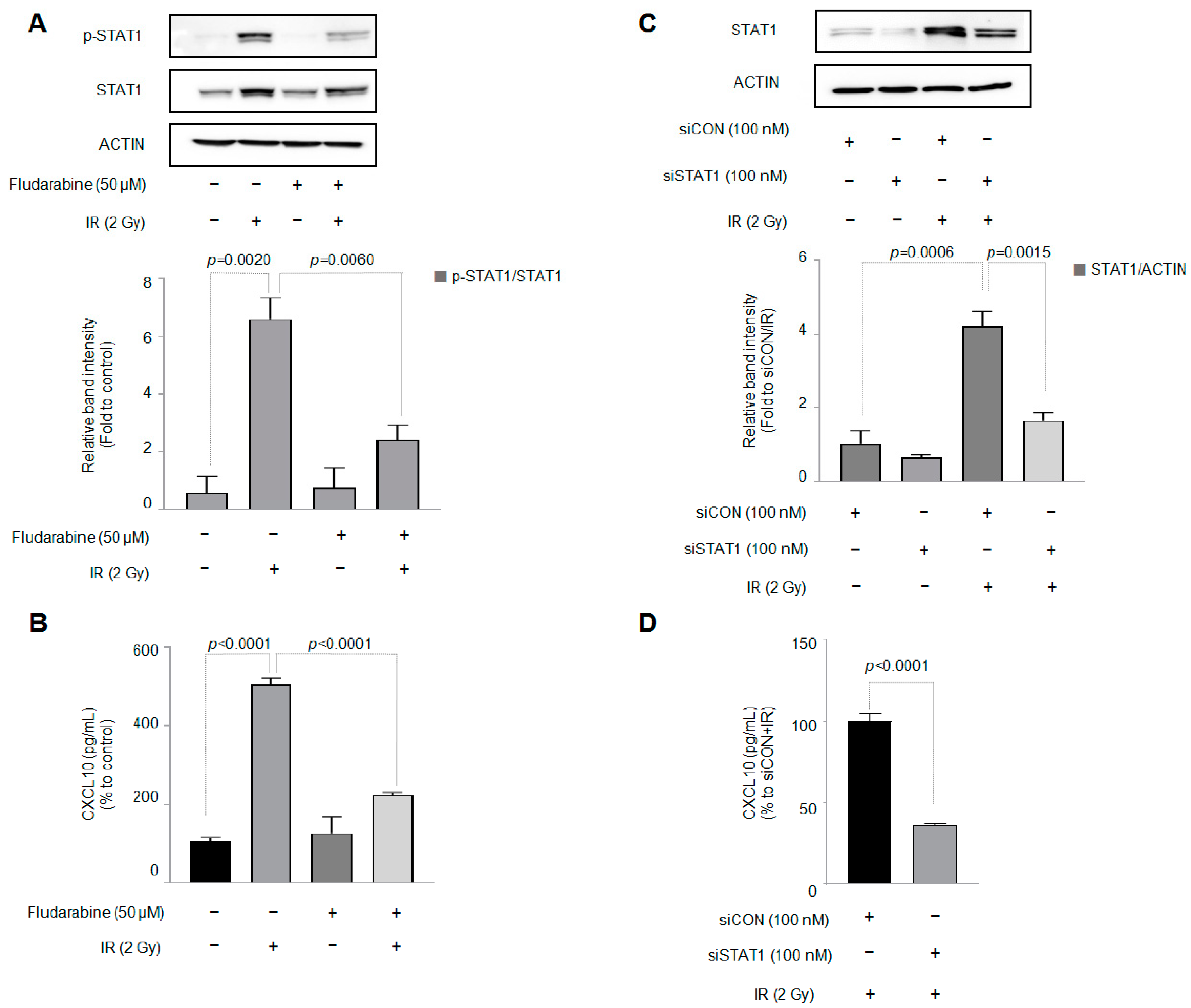 Cells 12 01009 g003 Cells 12 01009 g003