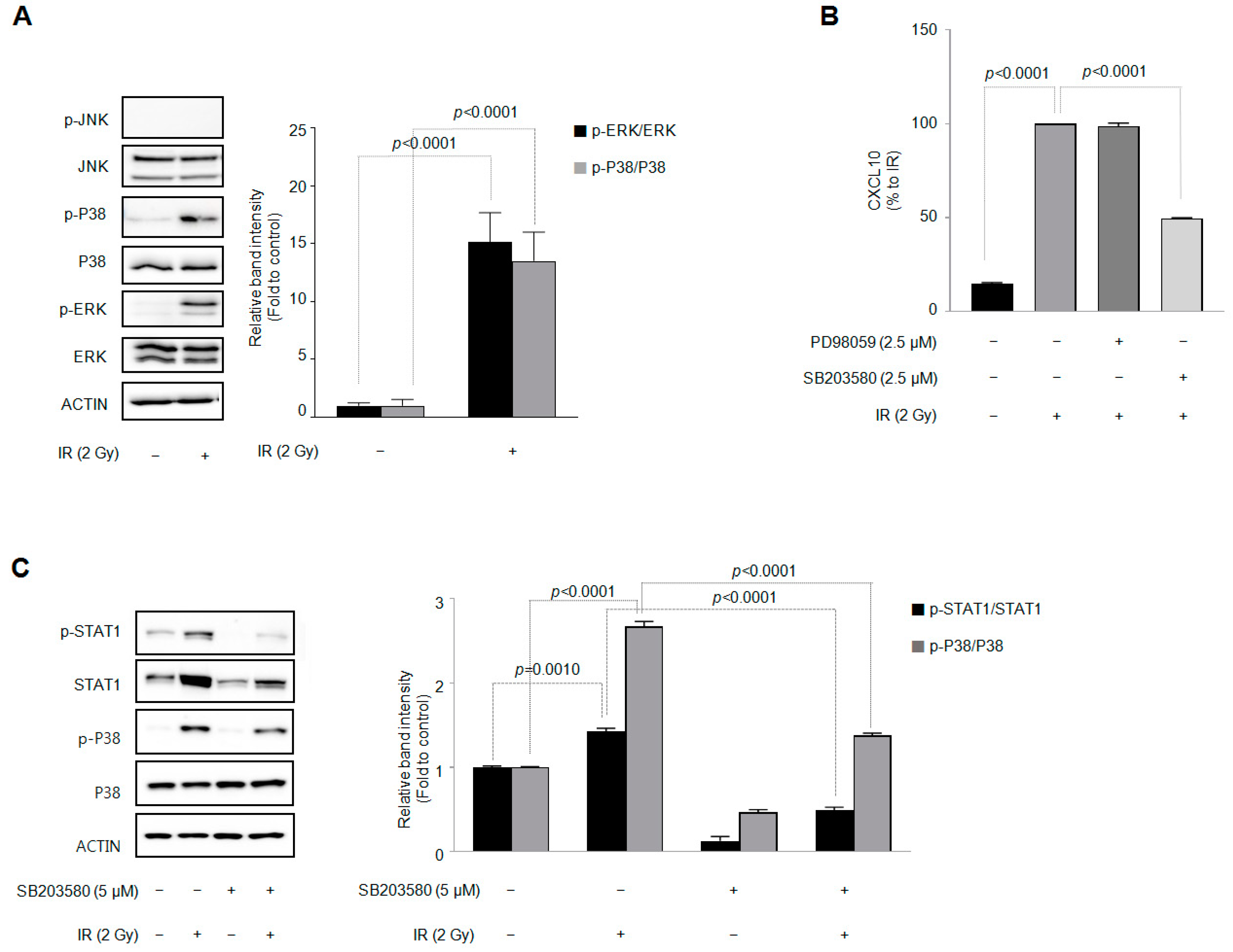 Cells 12 01009 g004 Cells 12 01009 g004