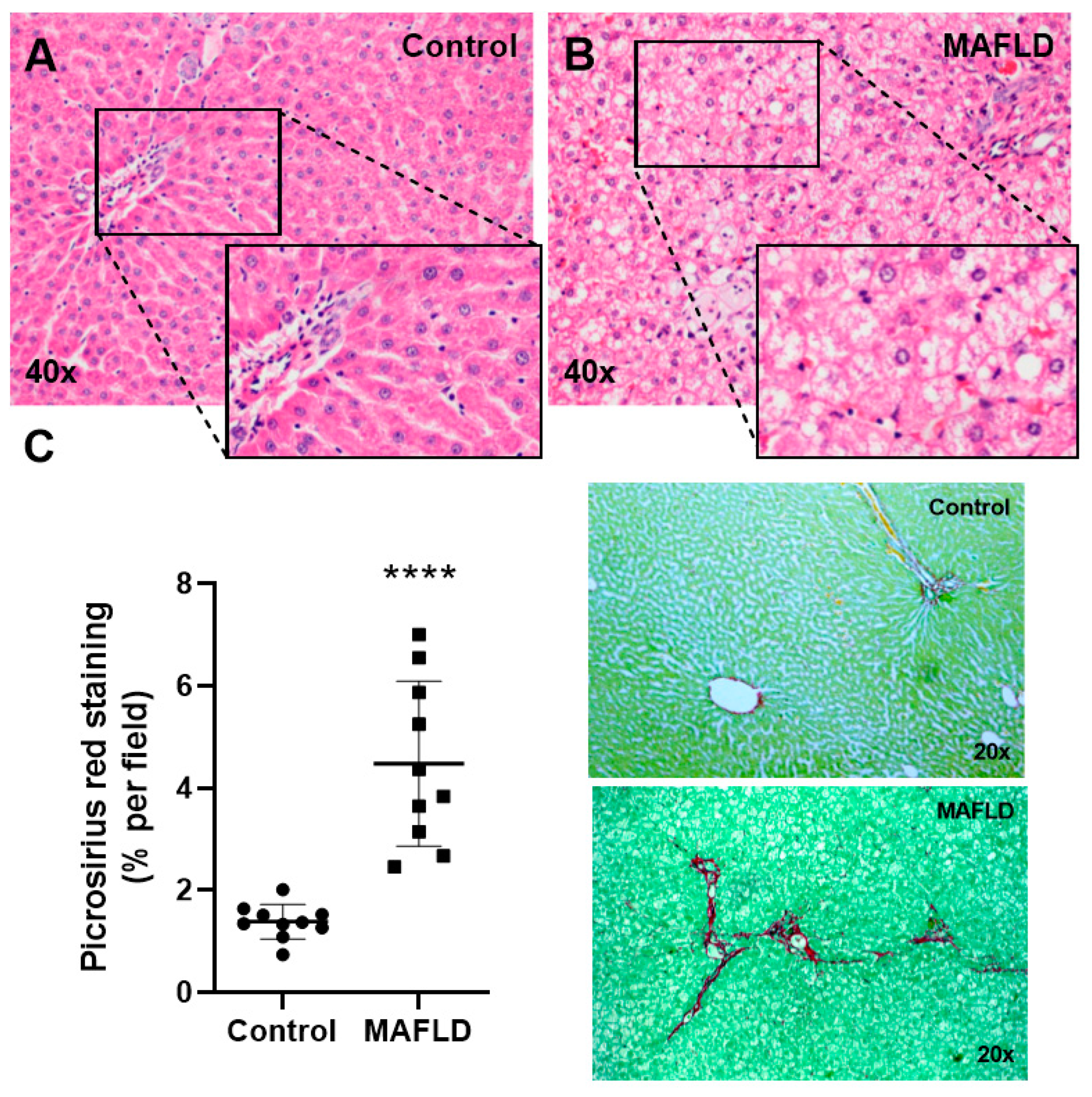 Cells 12 01022 g001 Cells 12 01022 g001