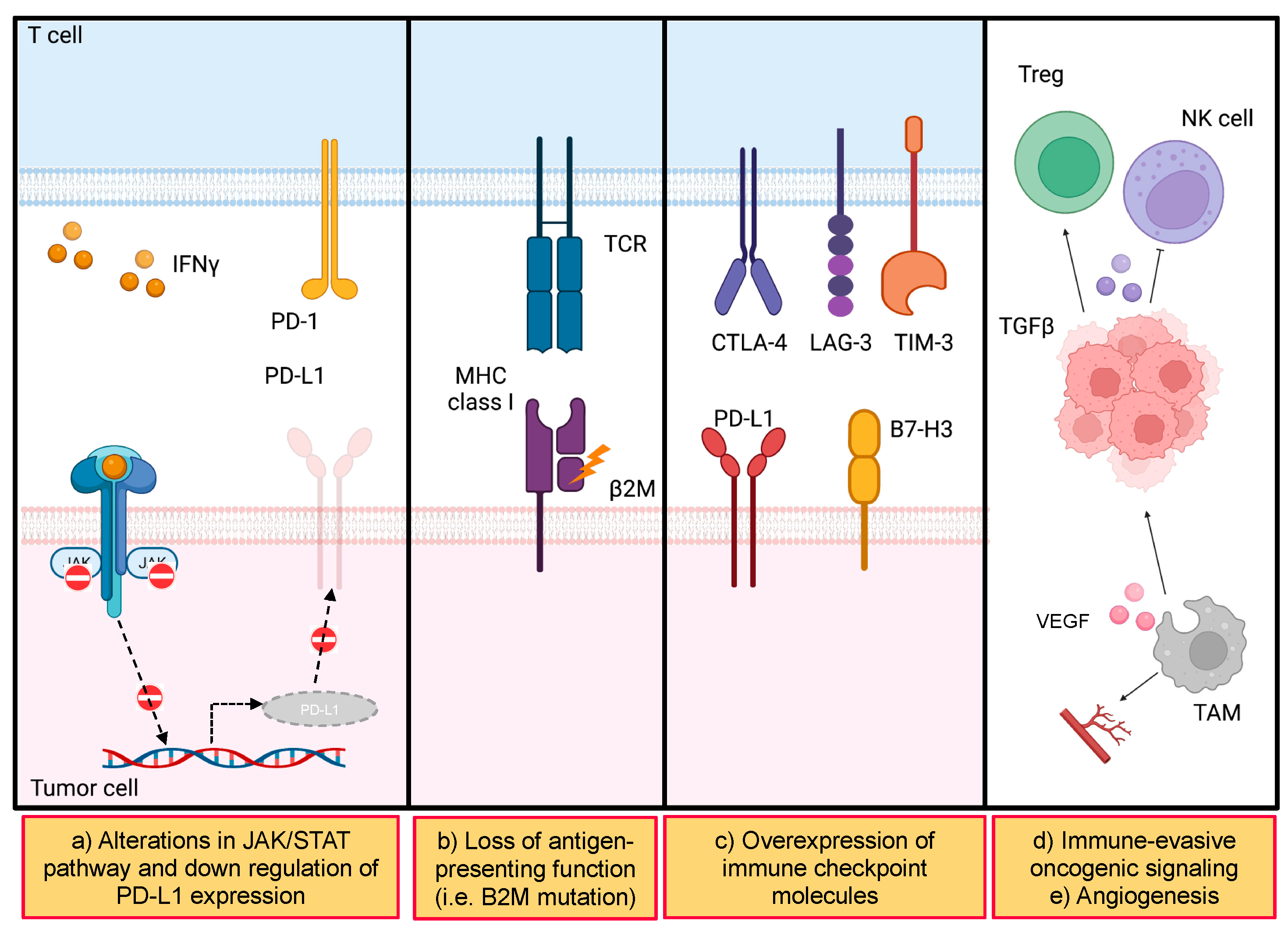 Cells 12 01049 g003 Cells 12 01049 g003