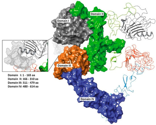 Identification of a novel peptide ligand for the cancer-specific receptor  mutation EGFRvIII using high-throughput sequencing of phage-selected  peptides