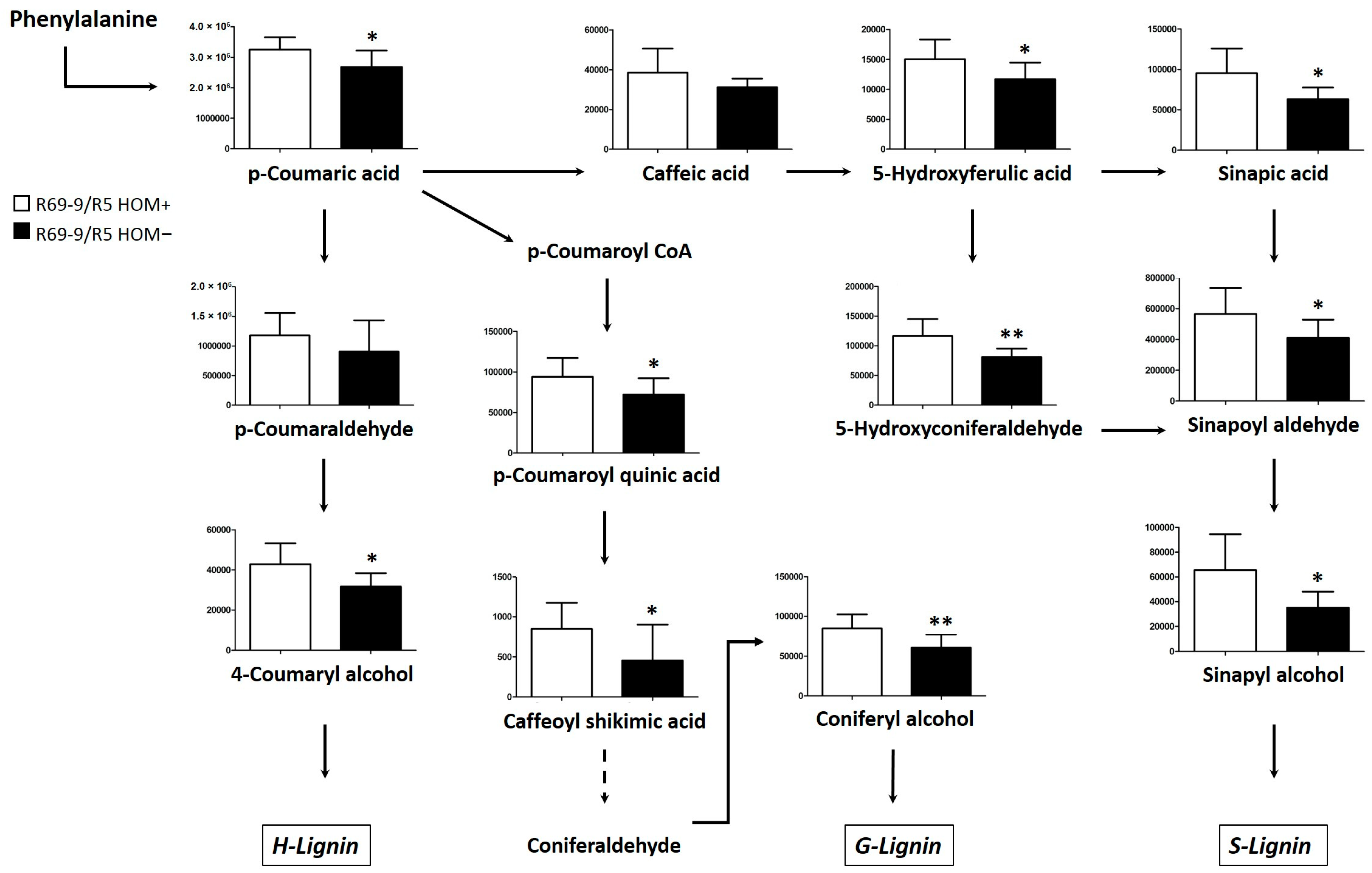 Cells 12 01113 g006 Cells 12 01113 g006