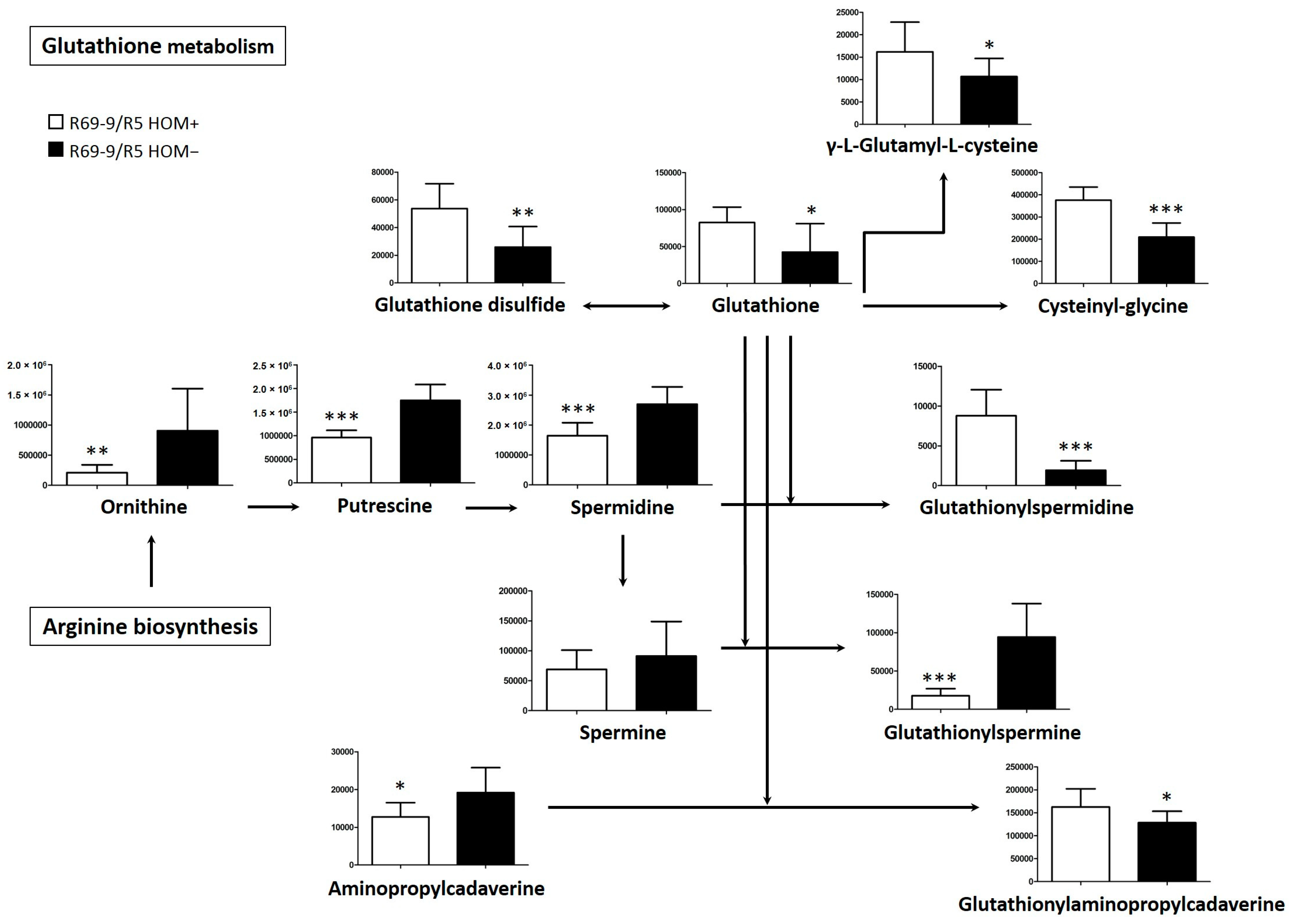 Cells 12 01113 g007 Cells 12 01113 g007