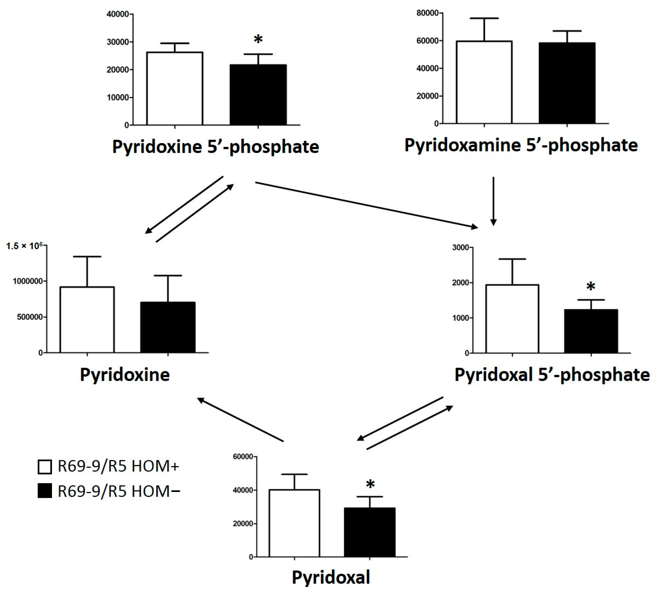 Cells 12 01113 g008 Cells 12 01113 g008