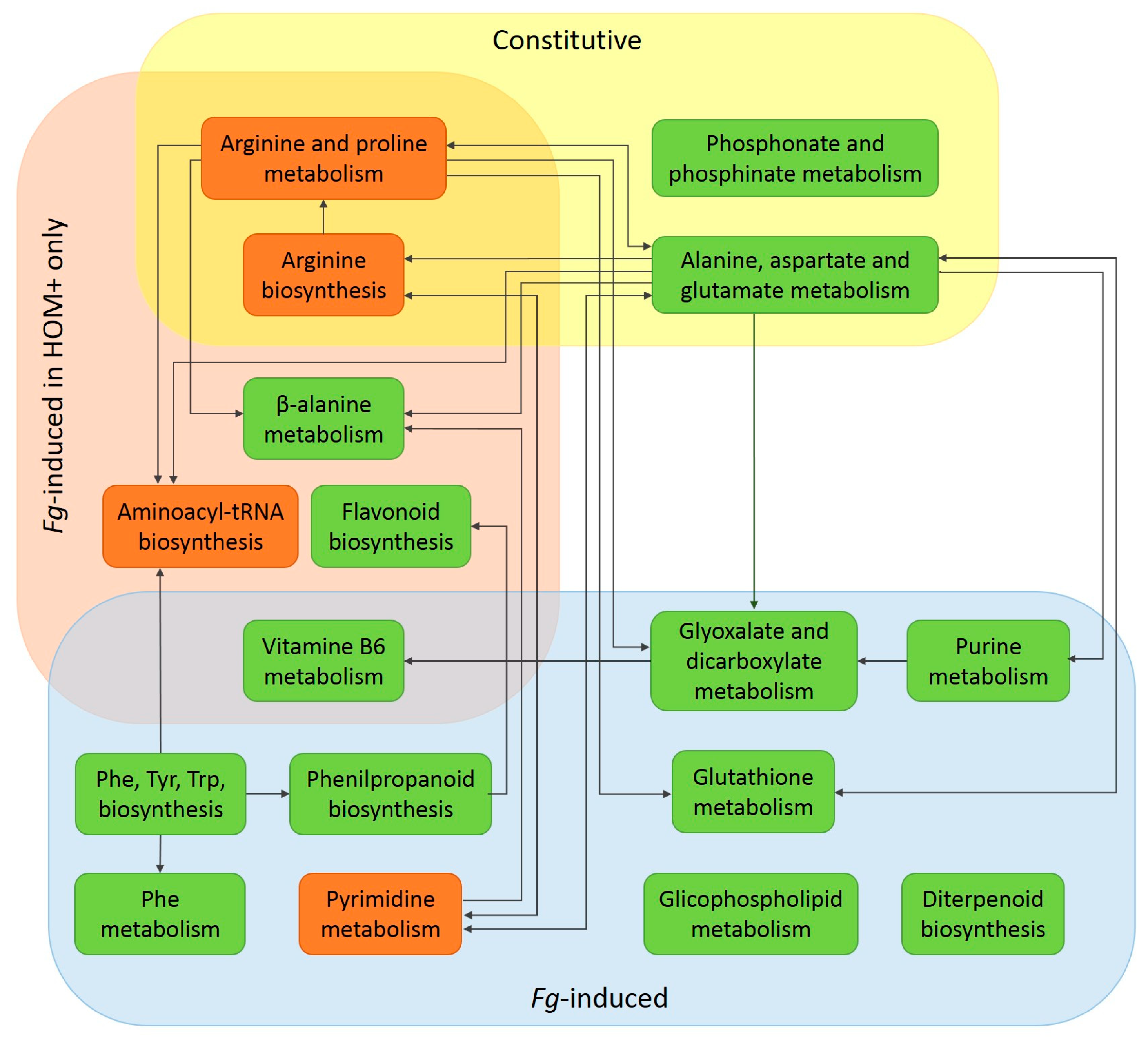 Cells 12 01113 g012 Cells 12 01113 g012