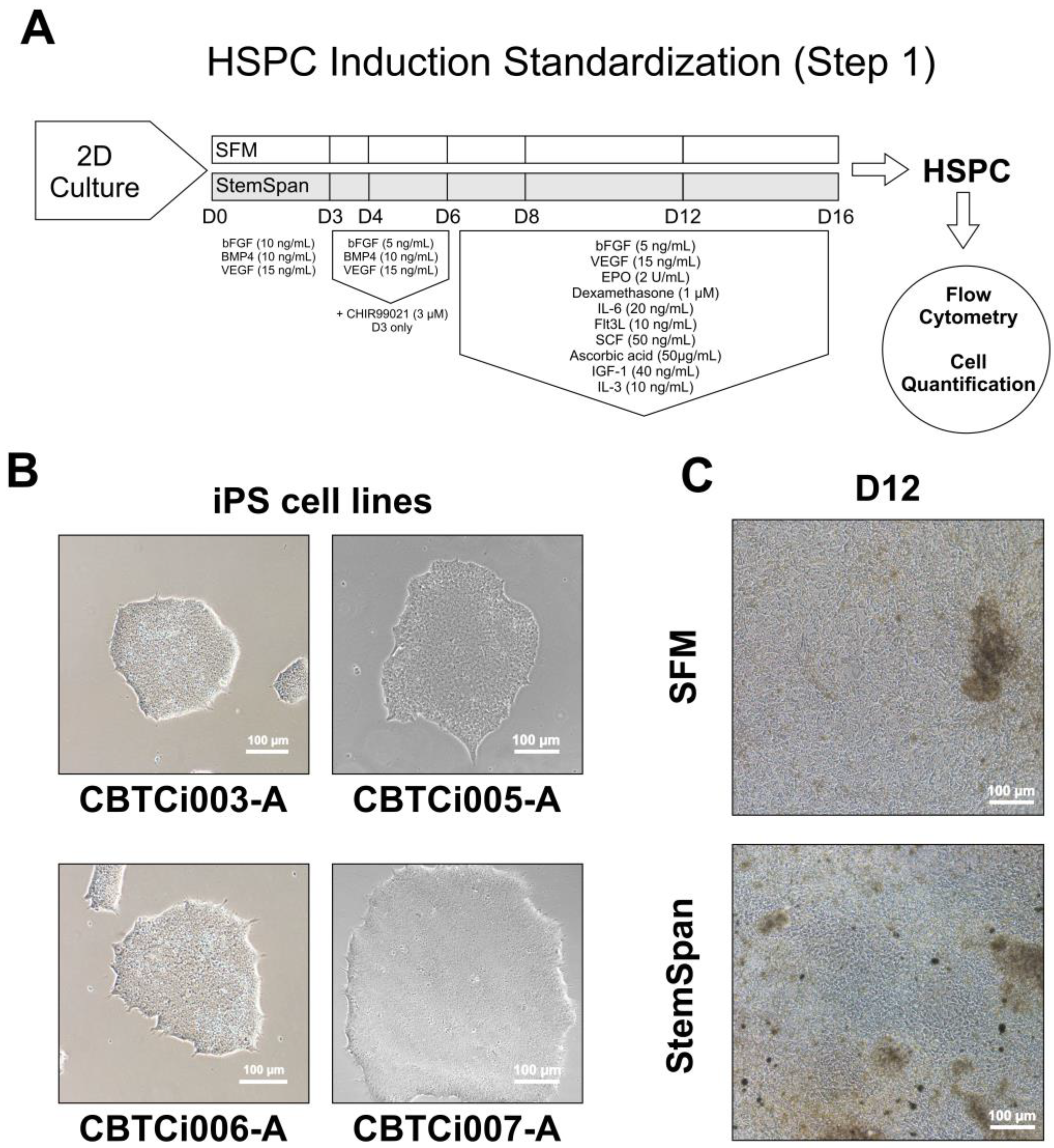 https://www.mdpi.com/cells/cells-12-01121/article_deploy/html/images/cells-12-01121-g001.png