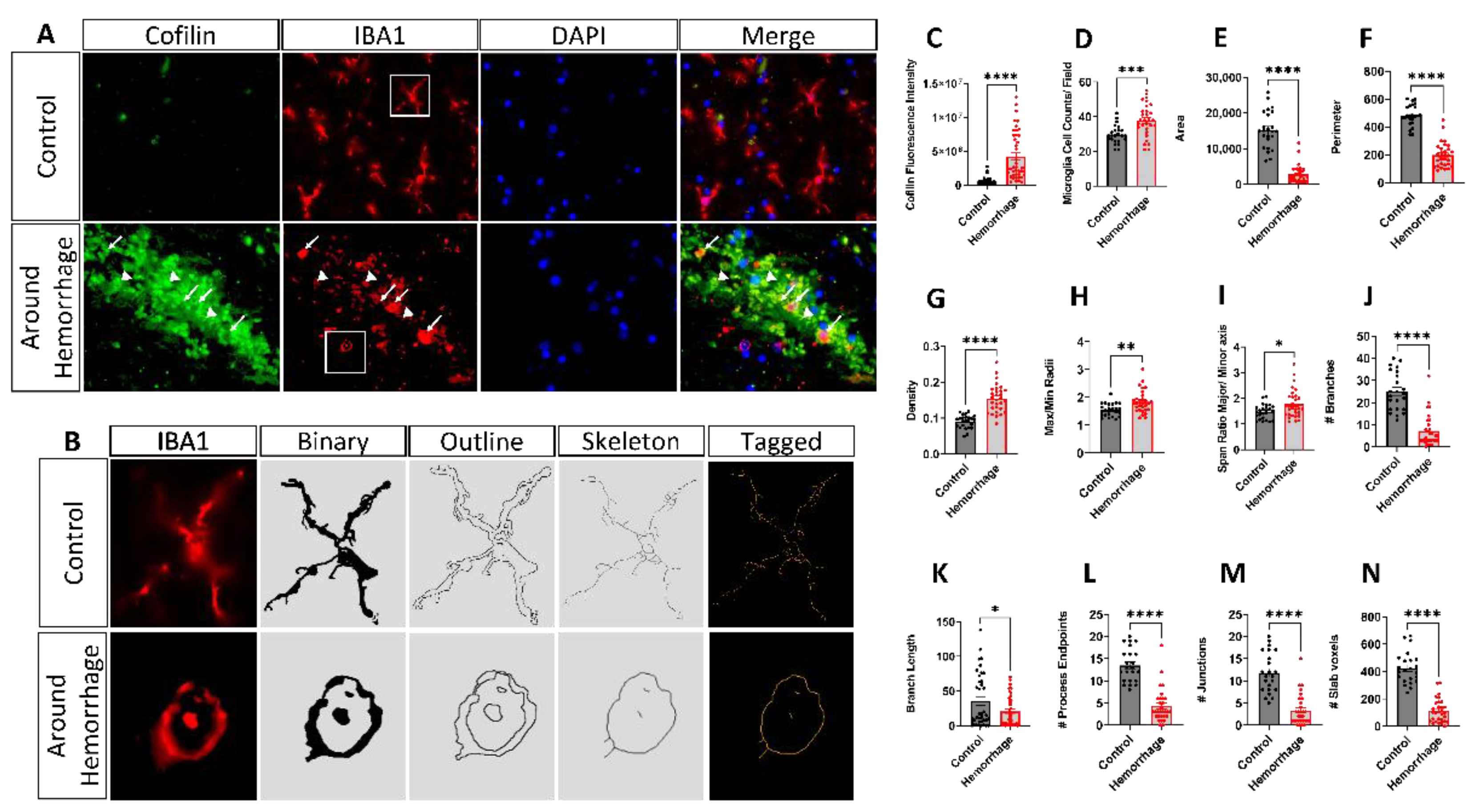 Cells 12 01153 g001 Cells 12 01153 g001