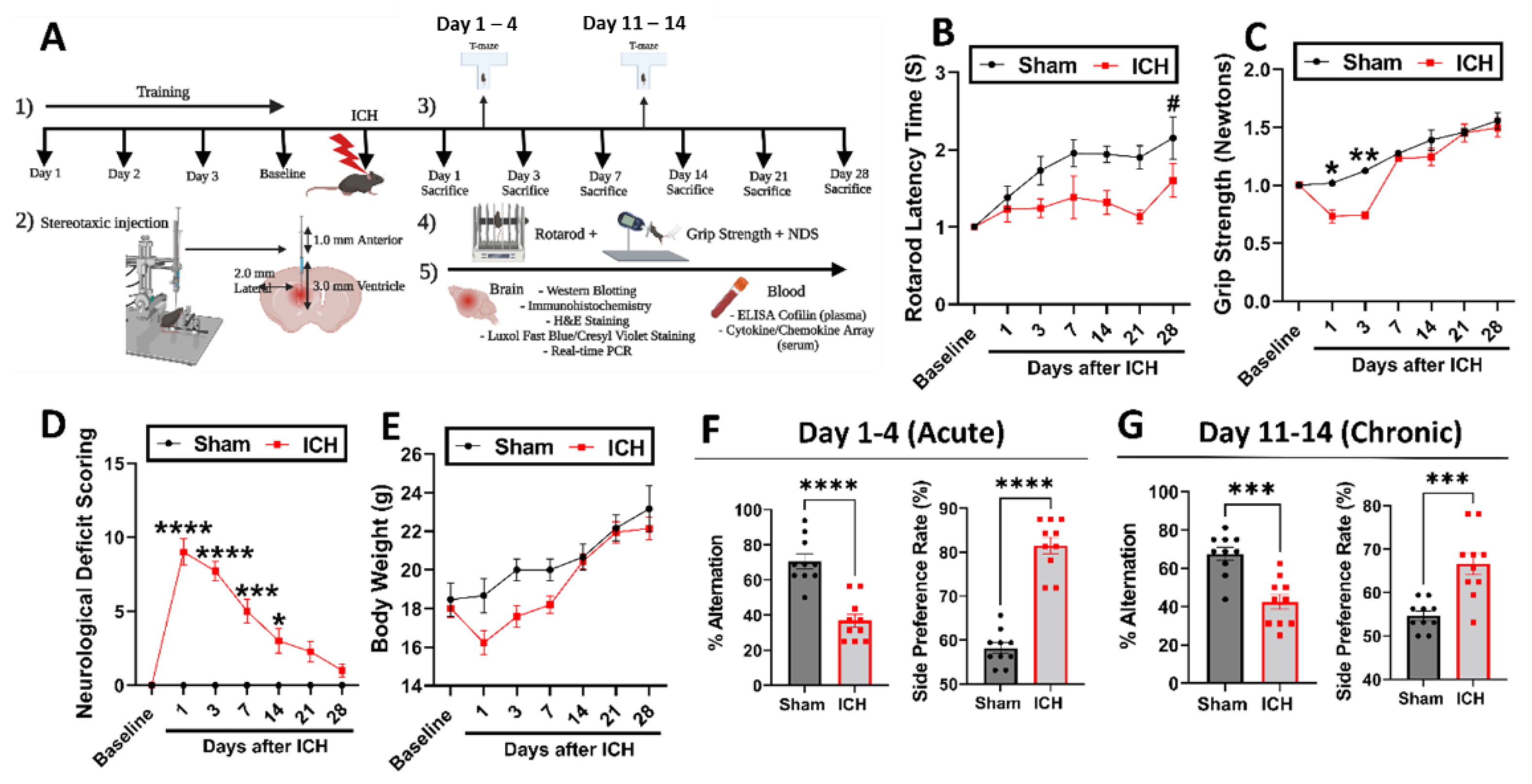 Cells 12 01153 g002 Cells 12 01153 g002