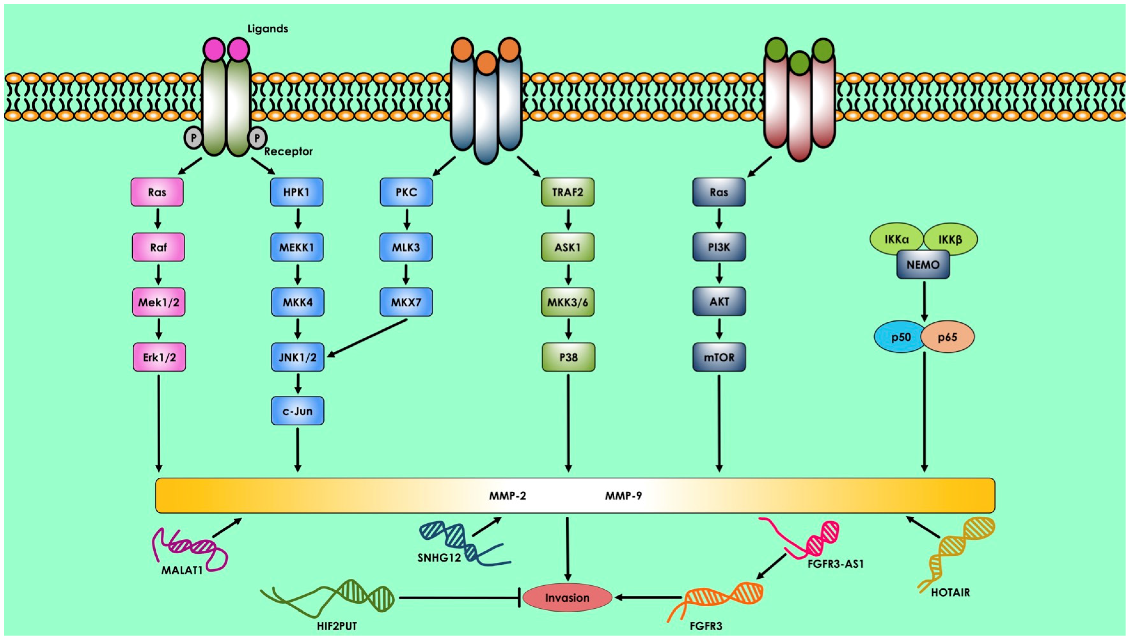 Cells 12 01159 g003 550