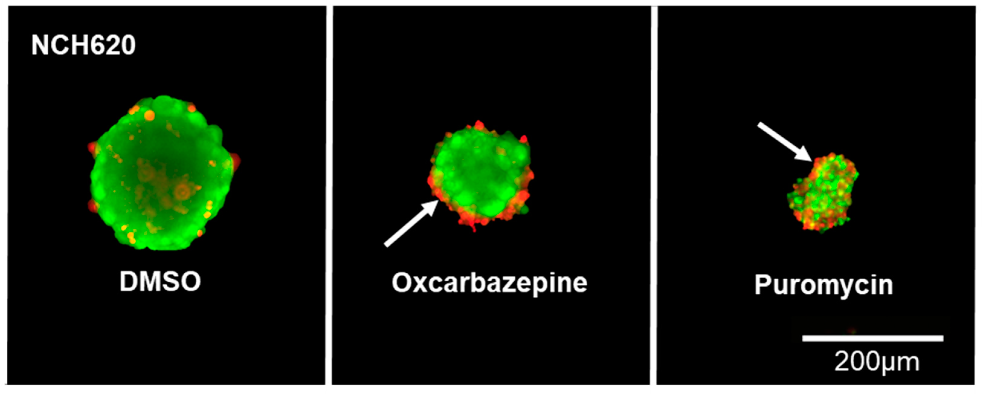 Cells 12 01200 g004 Cells 12 01200 g004