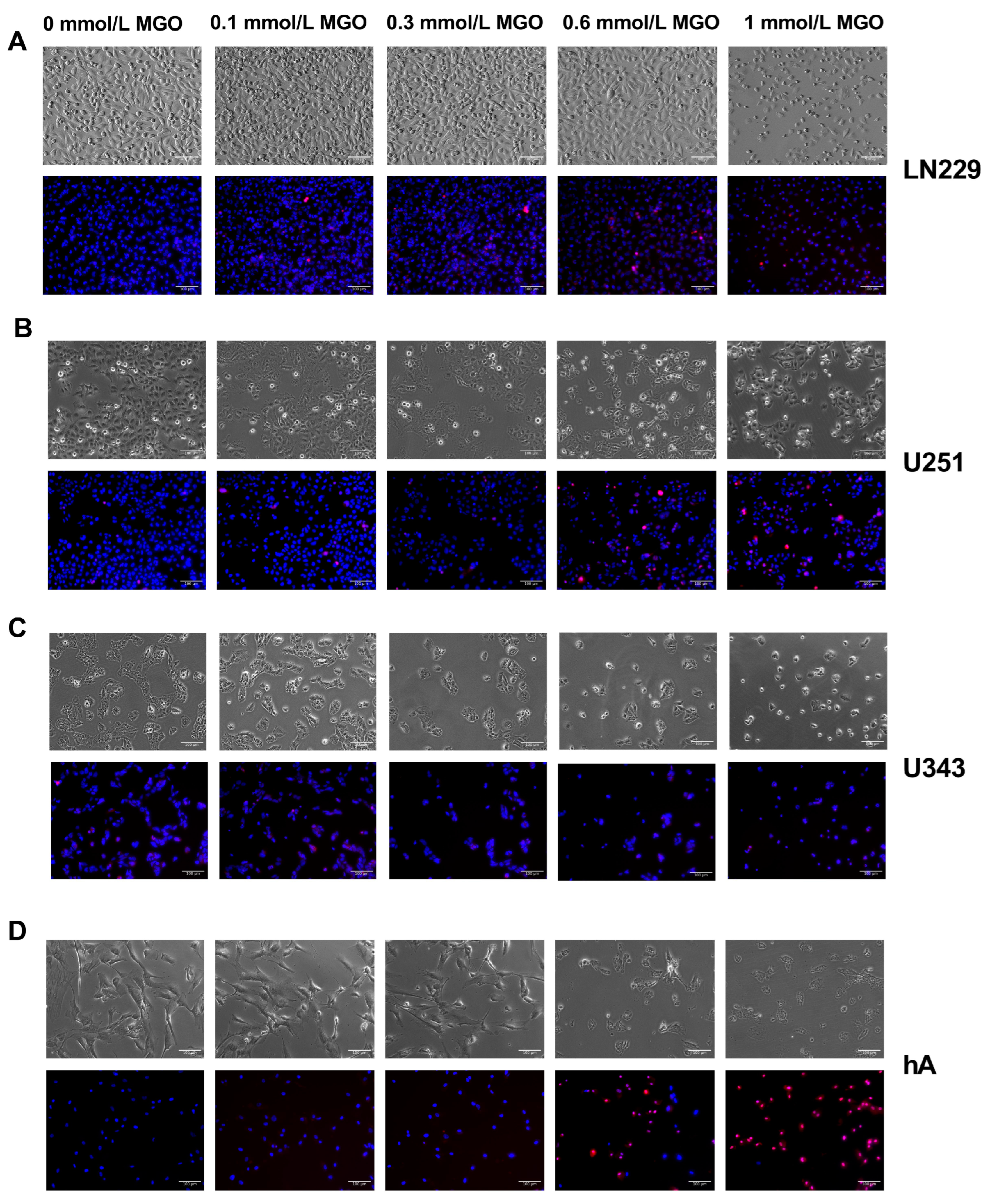 Cells 12 01219 g002 Cells 12 01219 g002