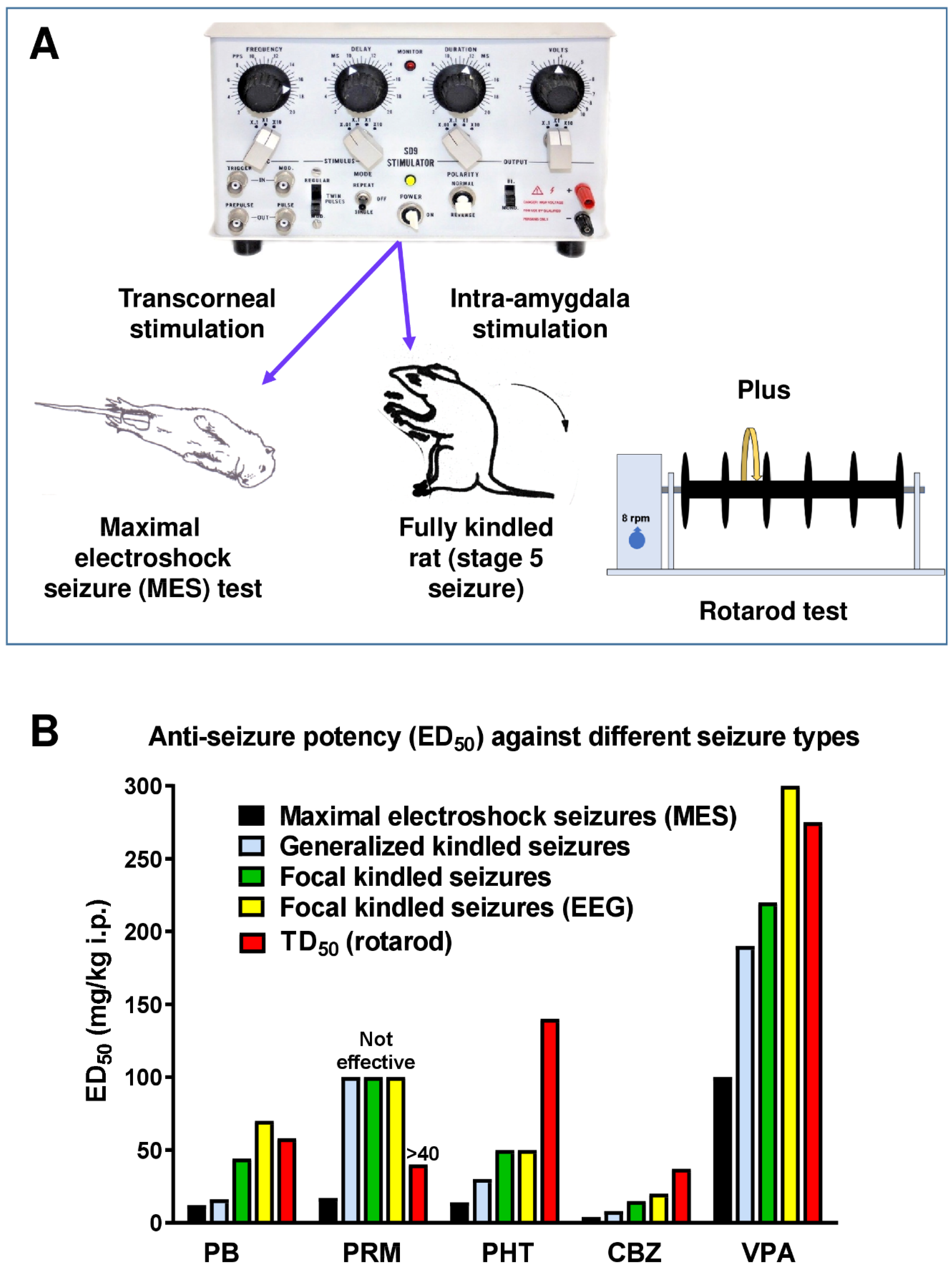 Cells 12 01233 g002 Cells 12 01233 g002