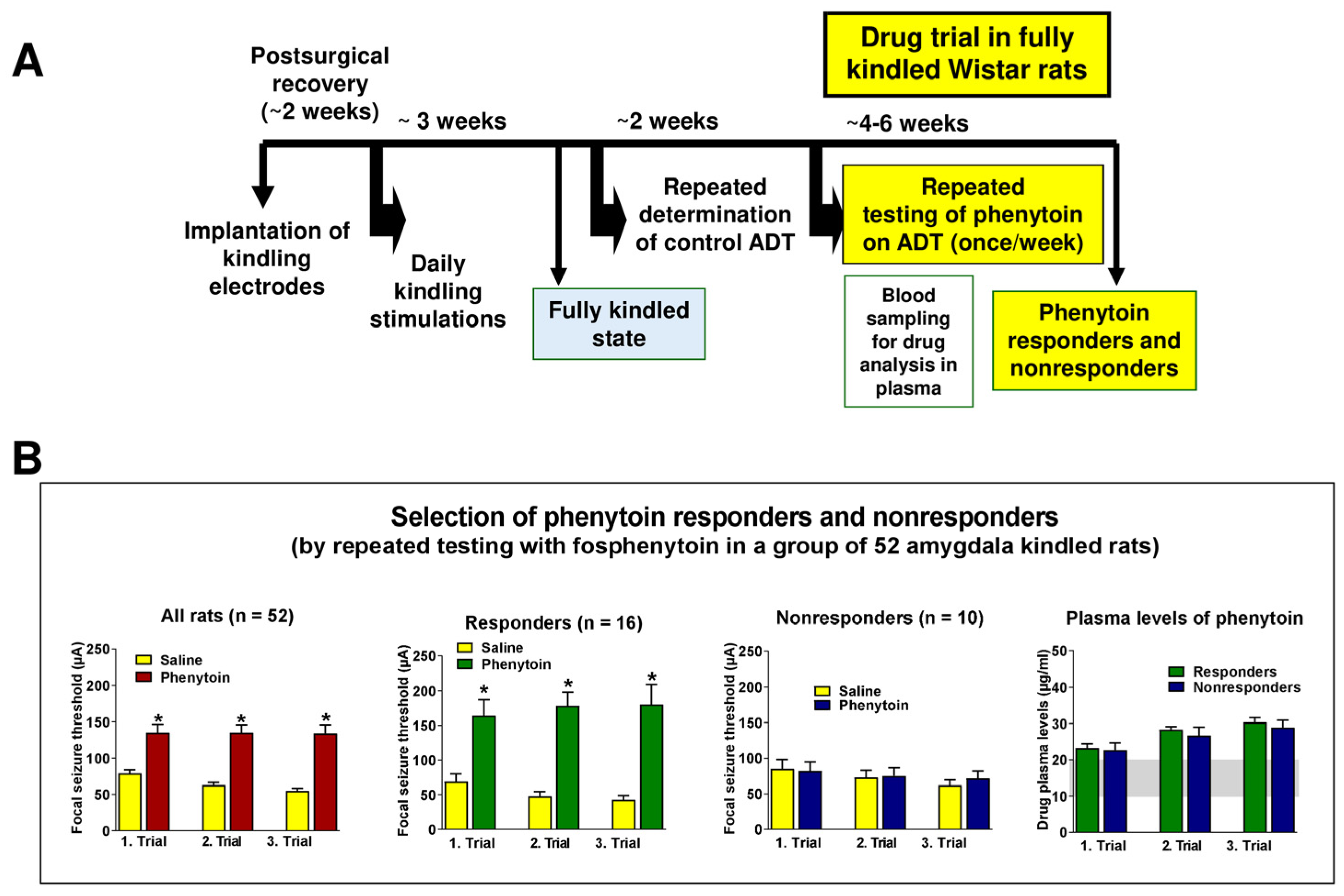Cells 12 01233 g003 Cells 12 01233 g003