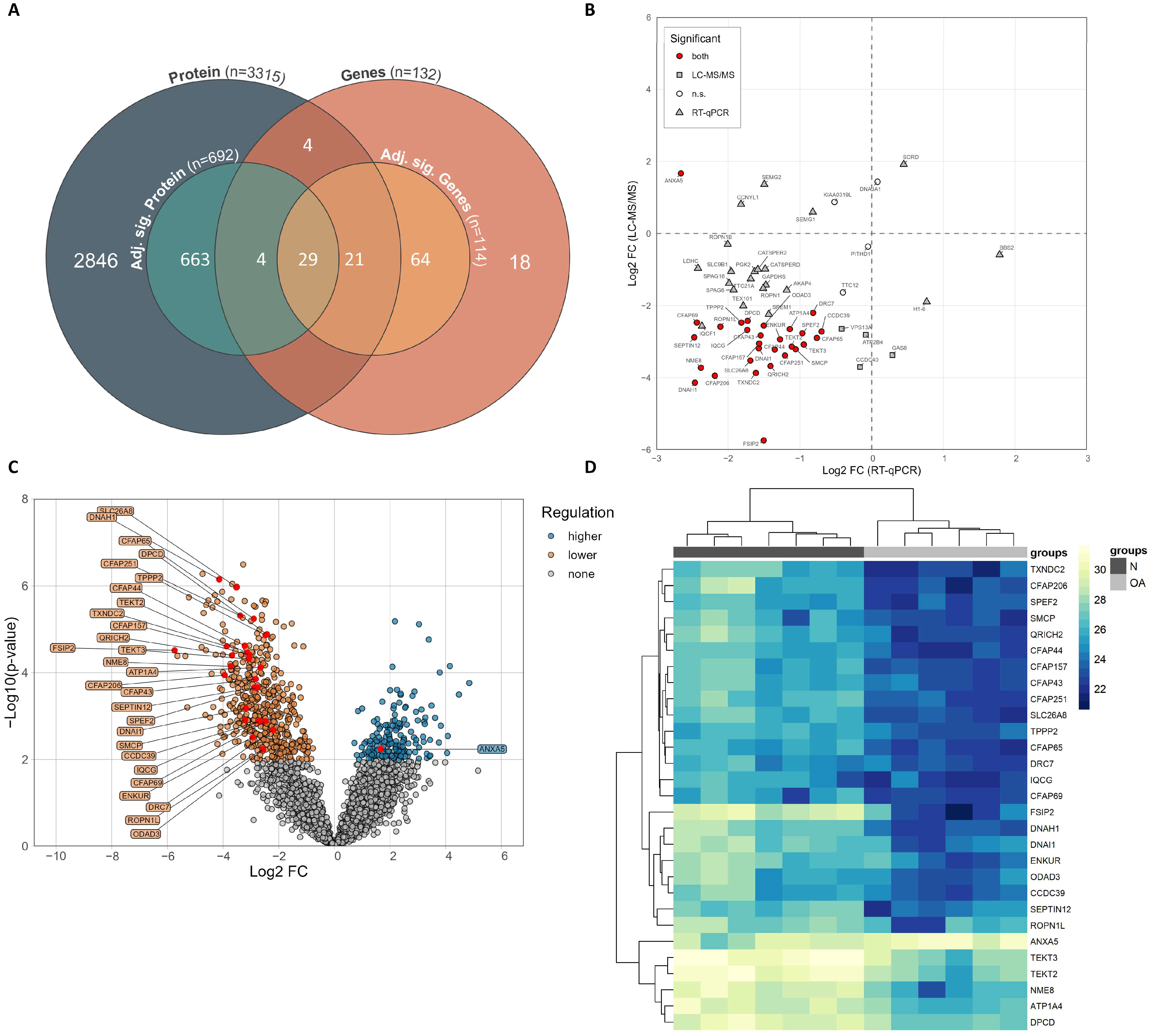 Cells 12 01239 g002 Cells 12 01239 g002