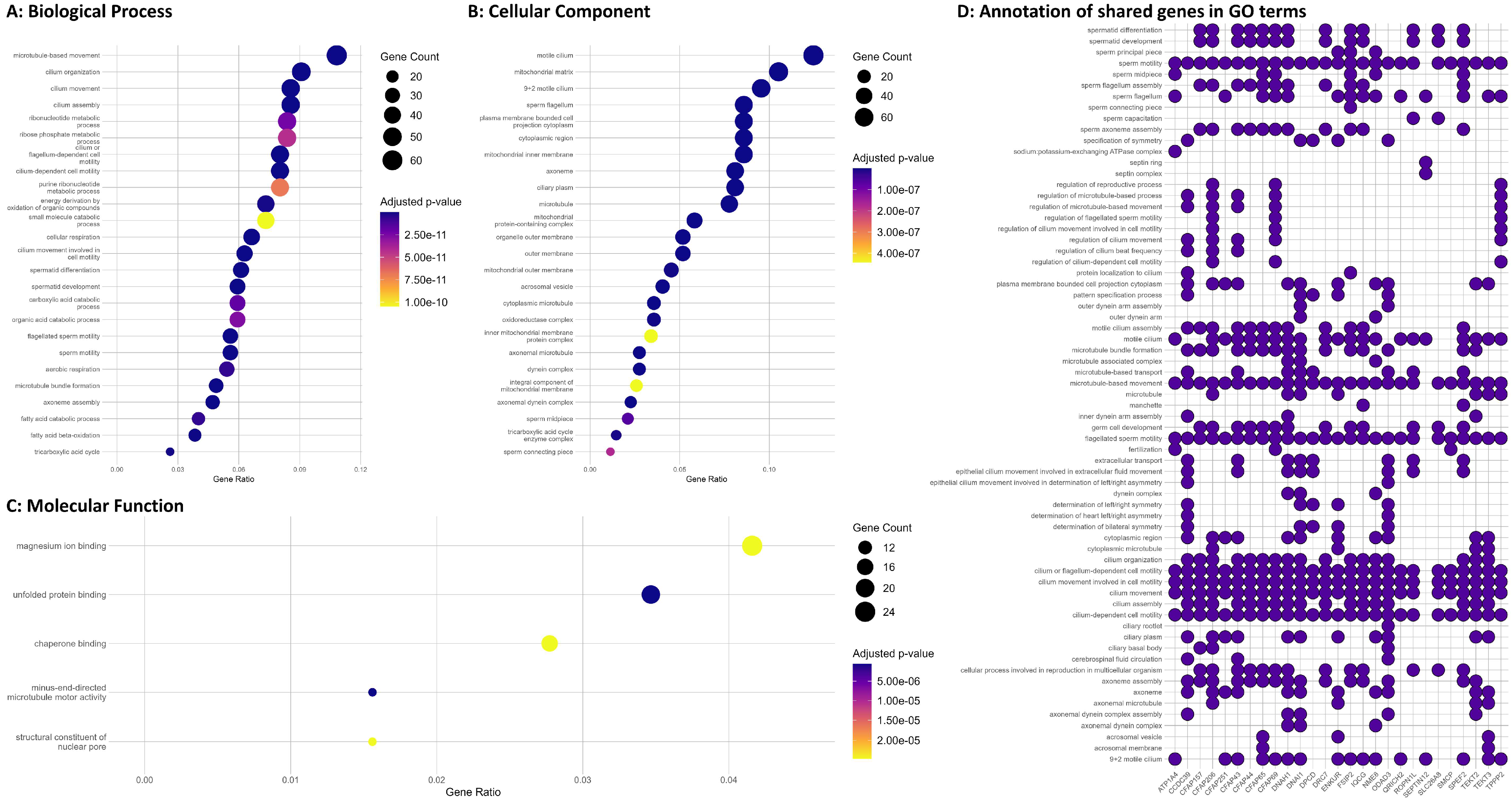 Cells 12 01239 g003 Cells 12 01239 g003