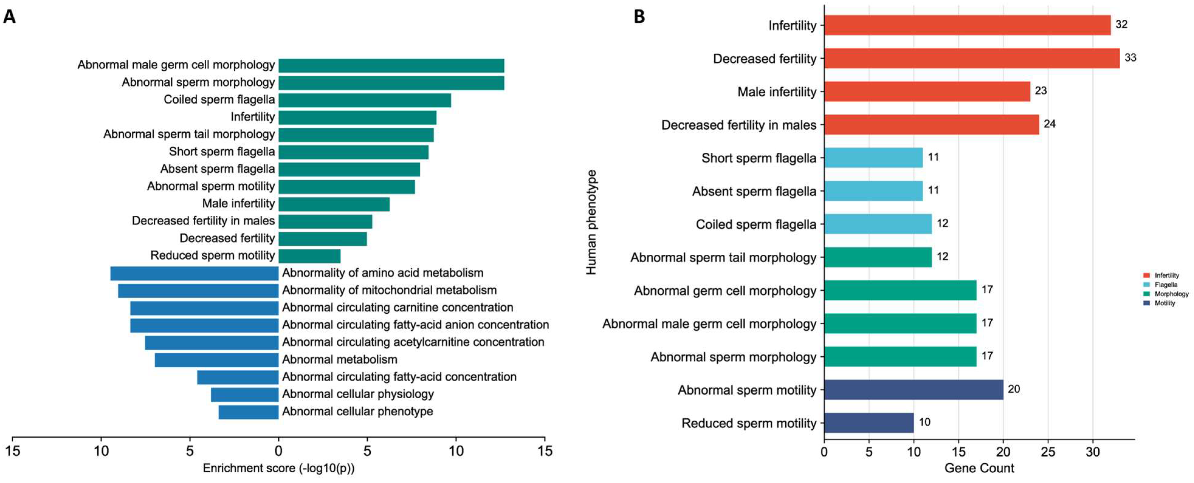 Cells 12 01239 g004 Cells 12 01239 g004