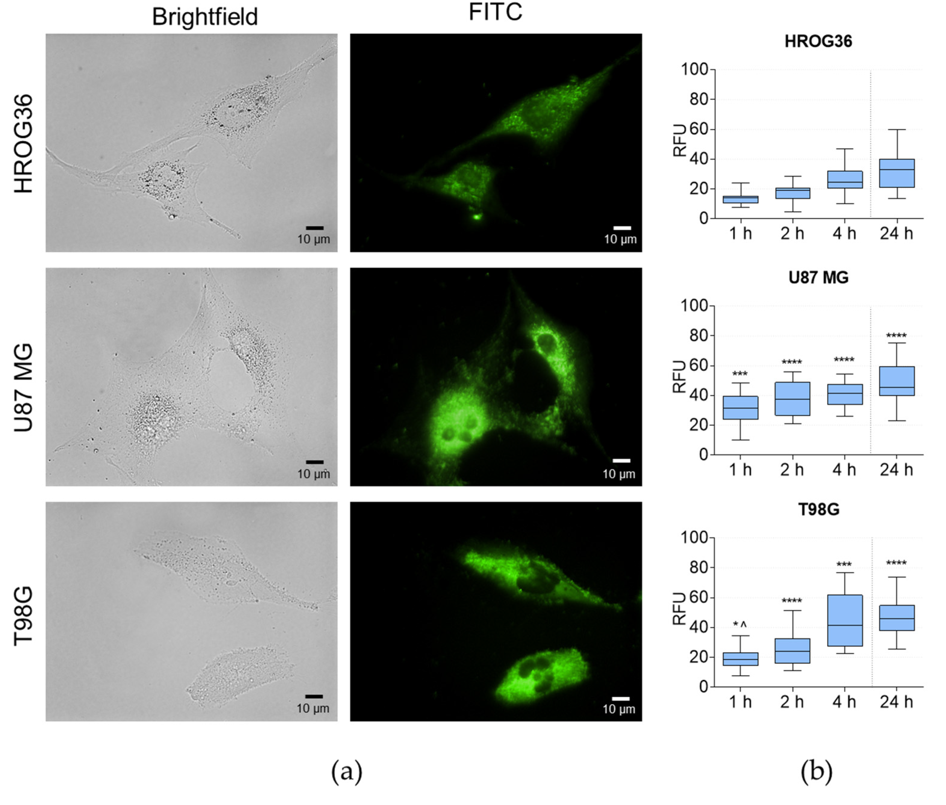Cells 12 01247 g002 Cells 12 01247 g002