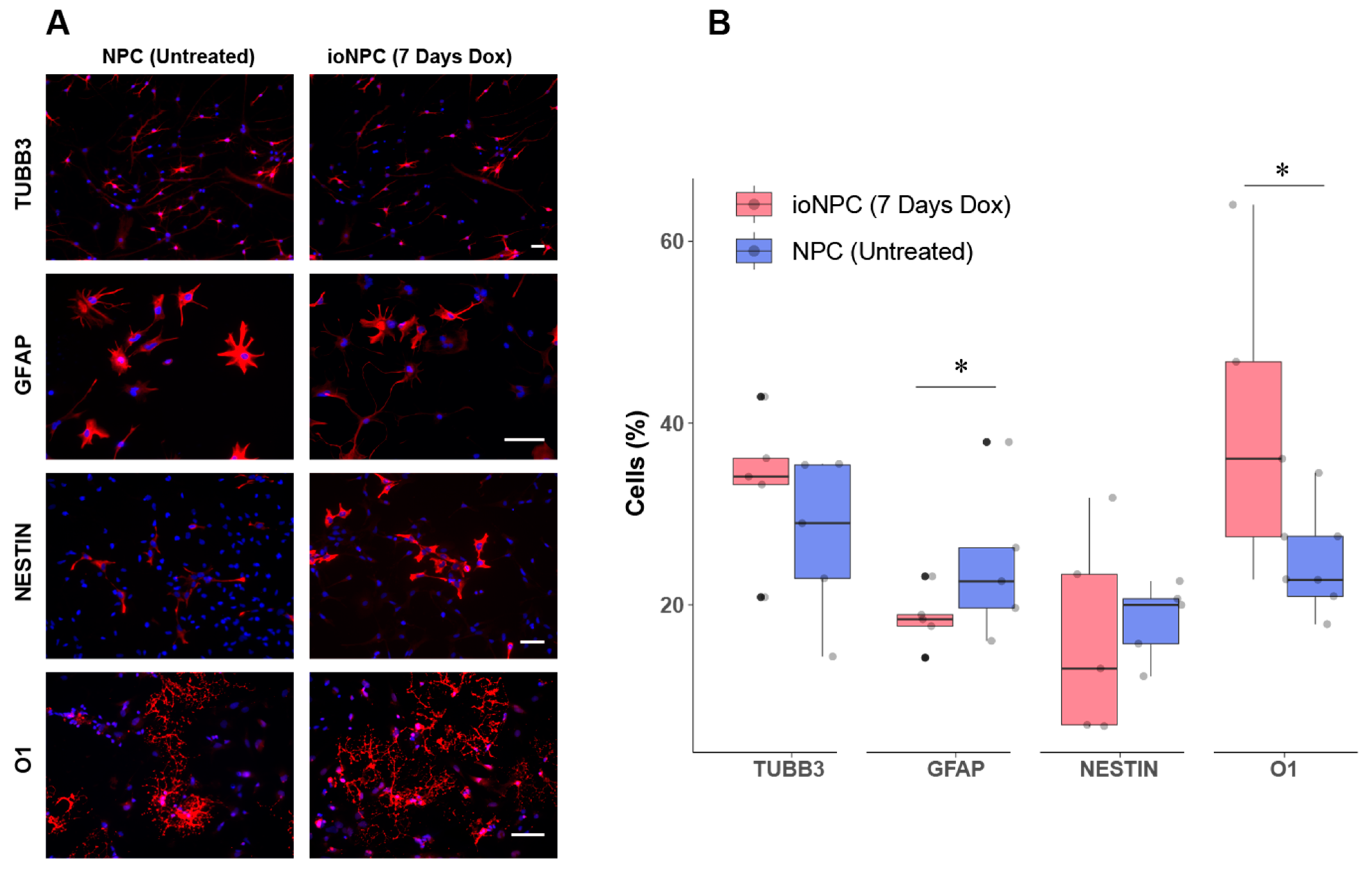 Cells 12 01252 g002 Cells 12 01252 g002