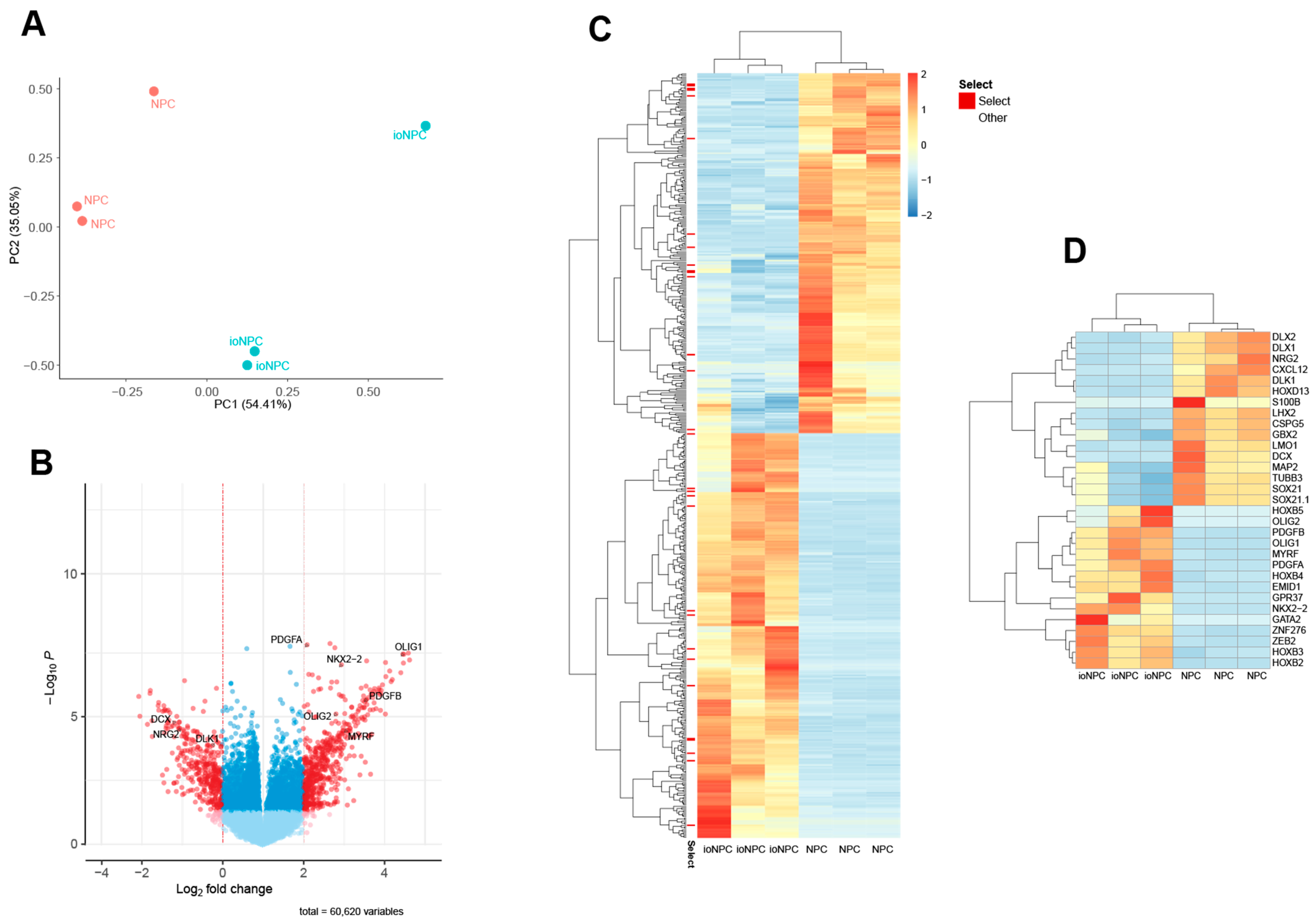 Cells 12 01252 g003 Cells 12 01252 g003