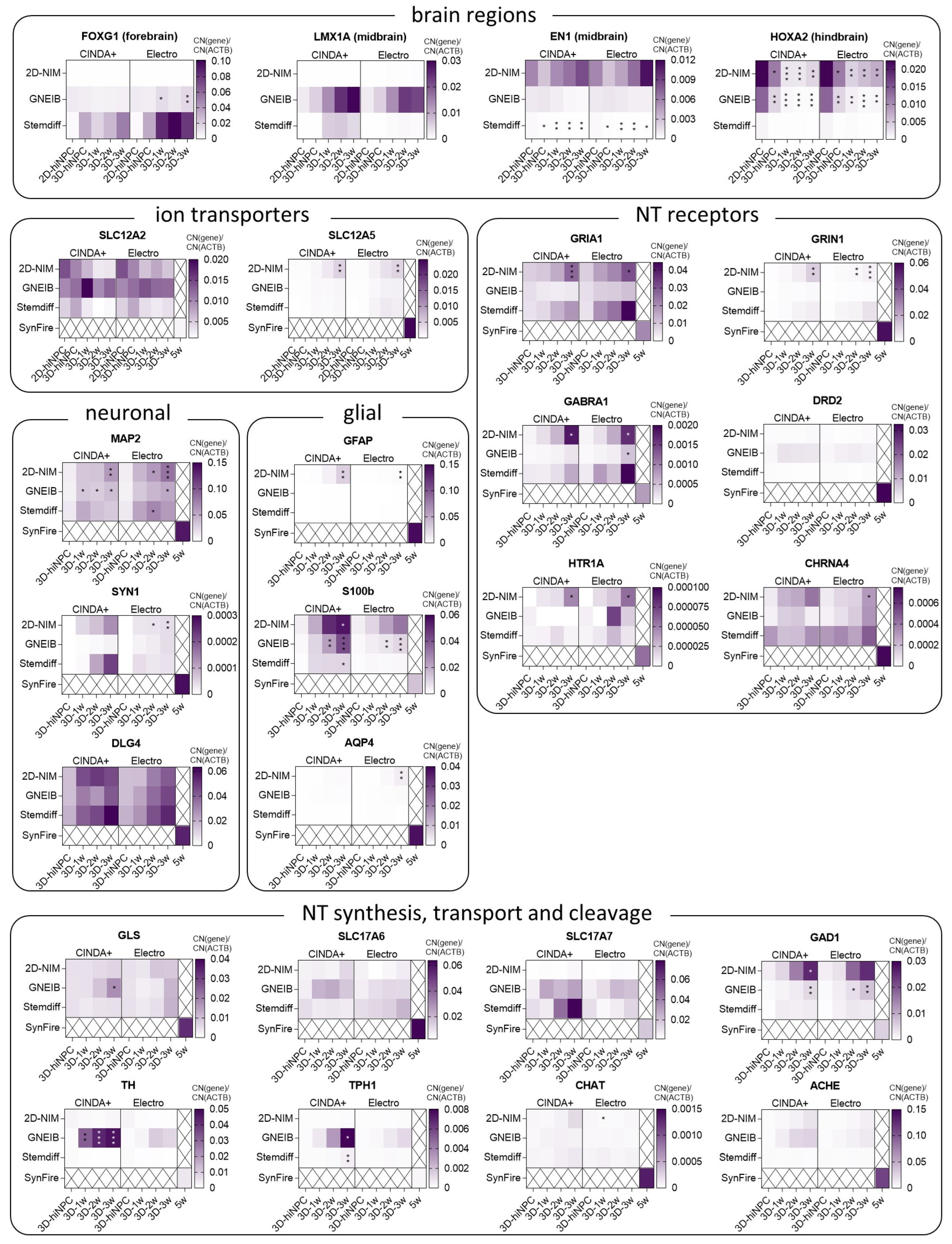 Cells 12 01270 g002 Cells 12 01270 g002