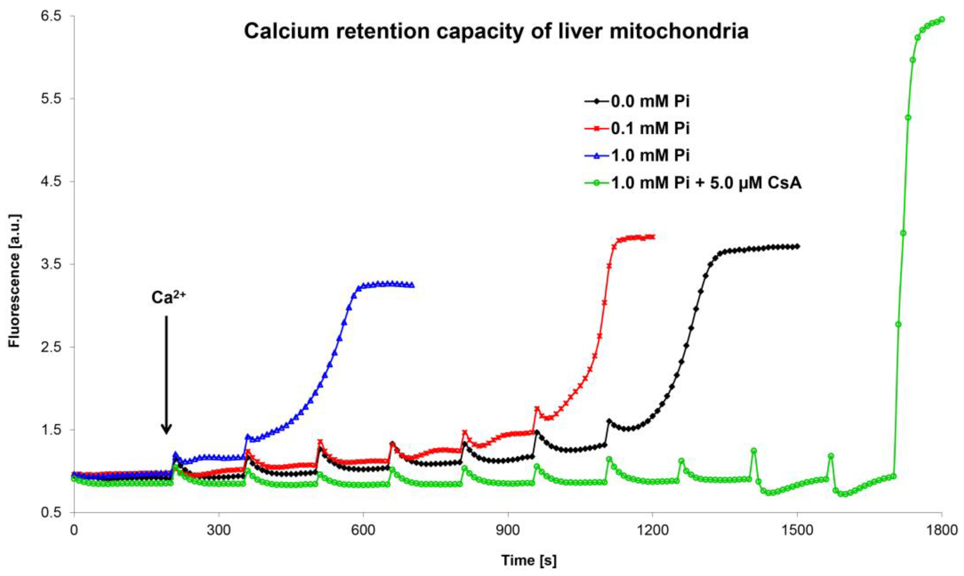 Cells 12 01273 g004 Cells 12 01273 g004