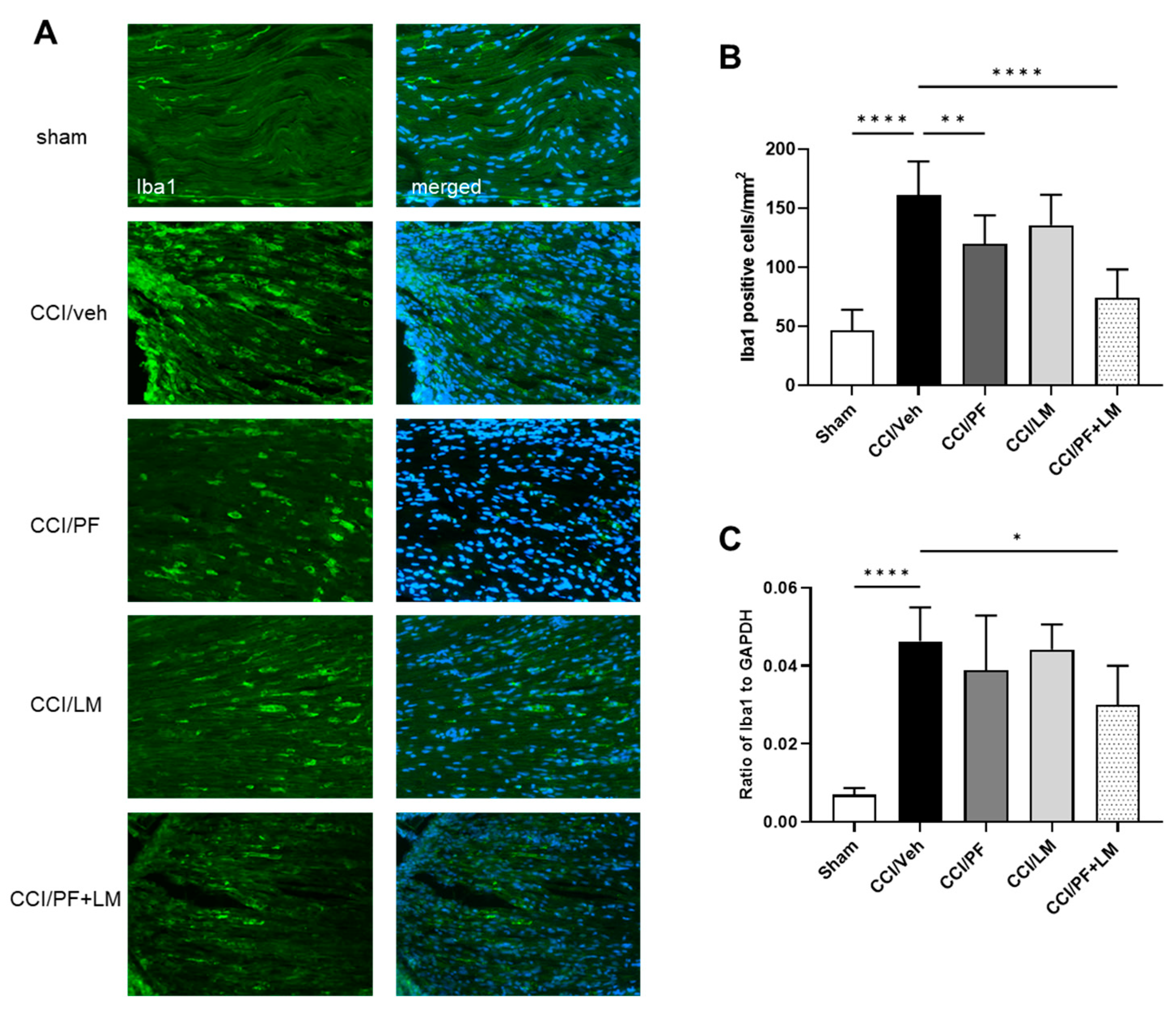Cells 12 01275 g004 Cells 12 01275 g004